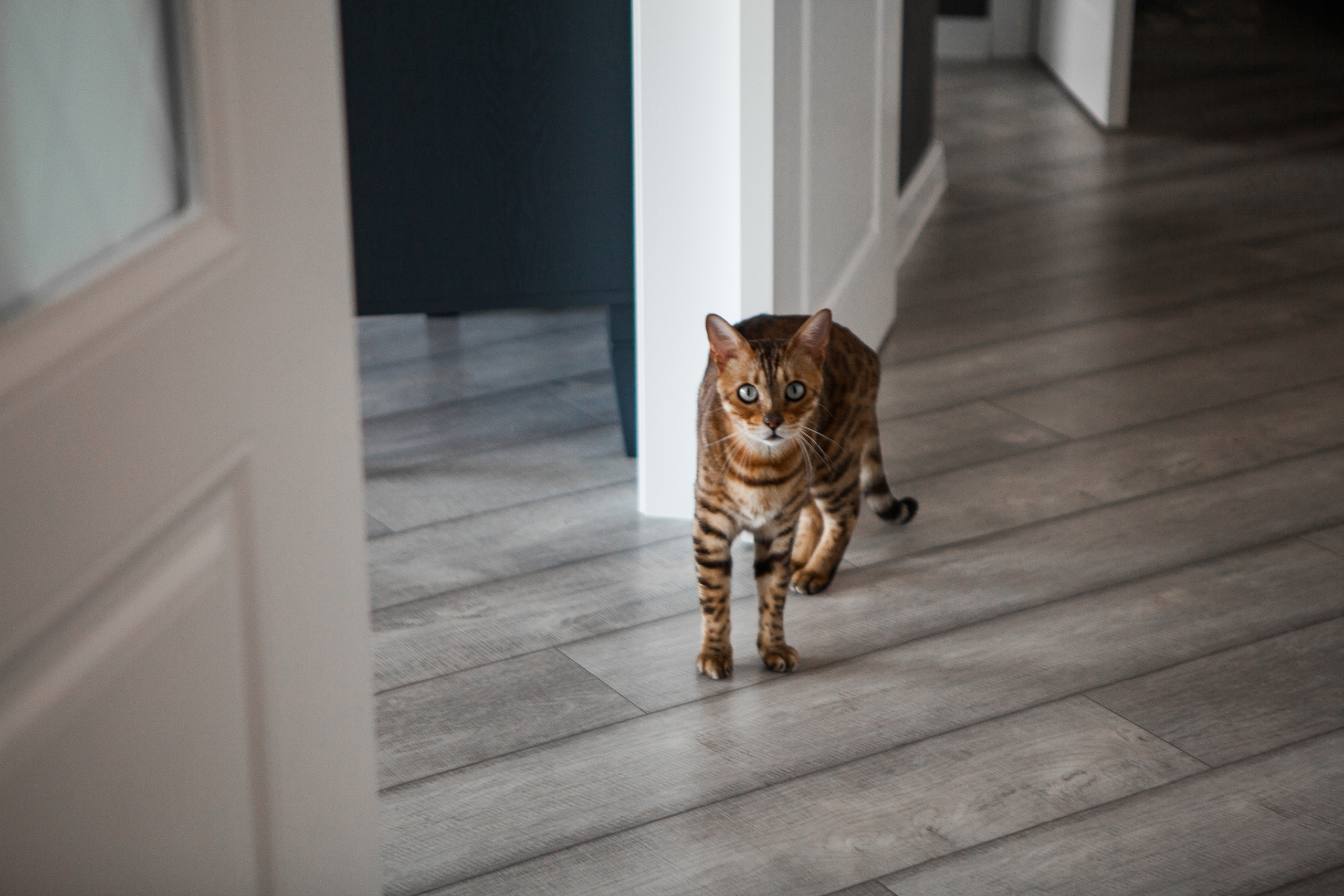 Артём, Женя и малыш Ваня. Свадебный фотограф в Воронеже Вероника Богай