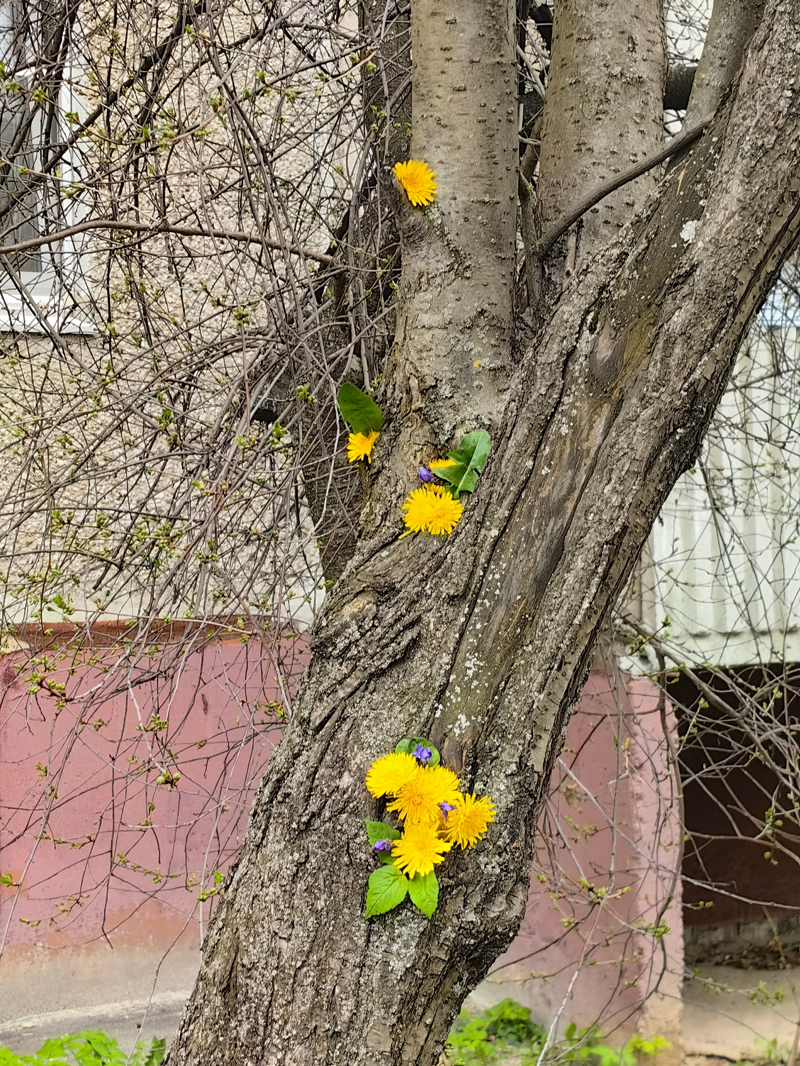 Фотошкола Таты Пахомовой. Творческая Таты Пахомовой