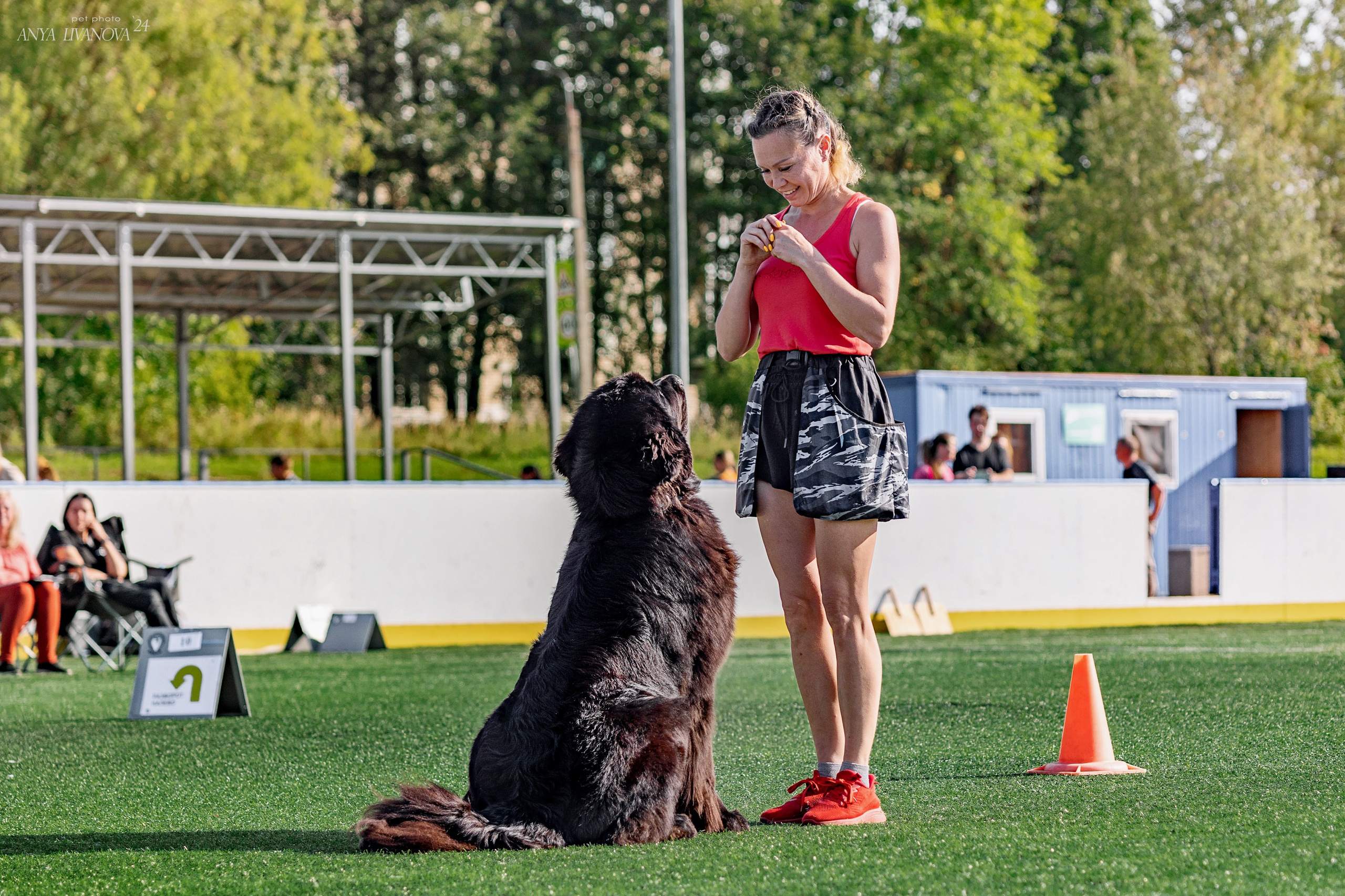 Ралли обидиенс. Фотограф анималист Аня Ливанова | Рыбинск