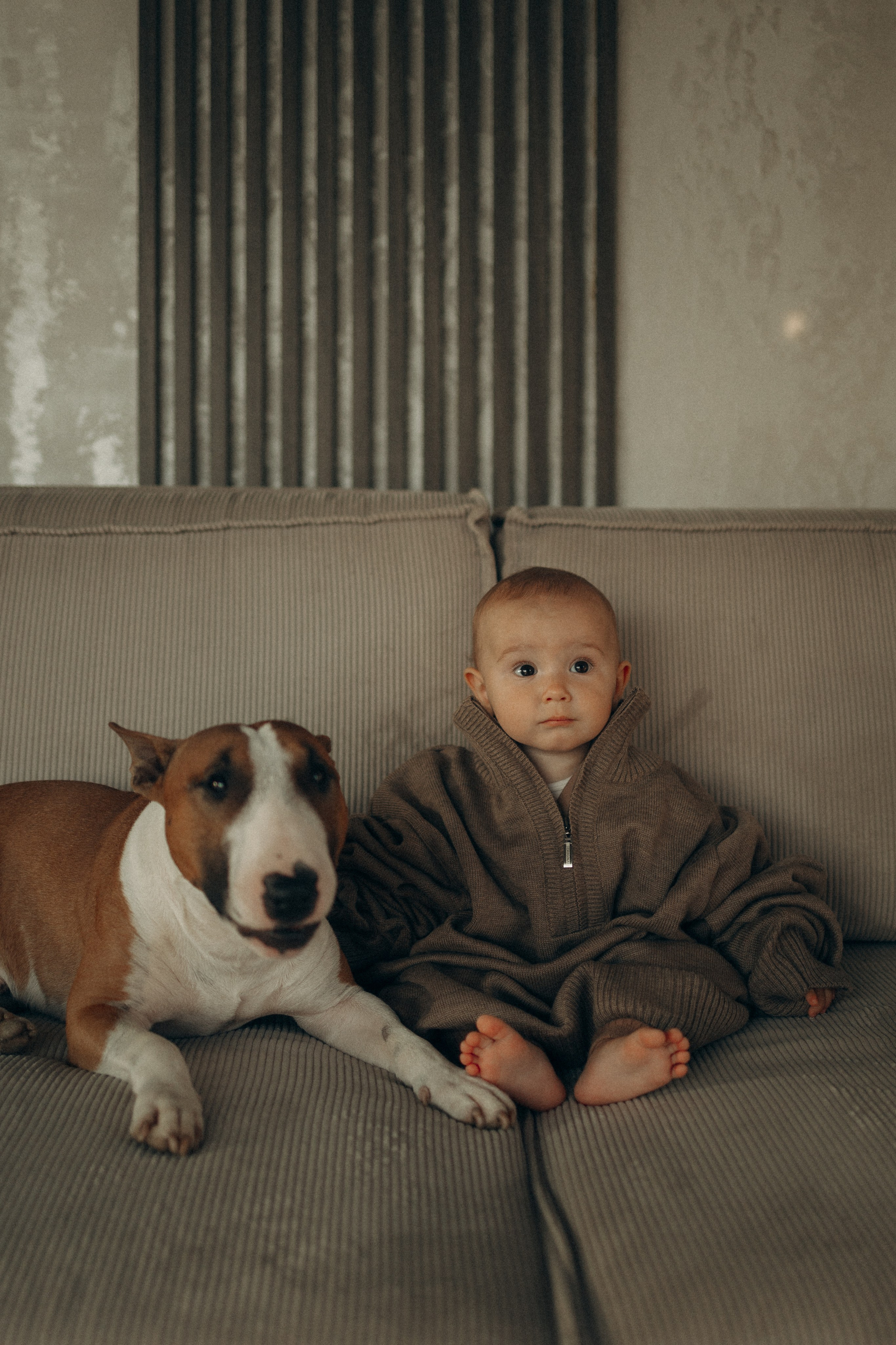 Семейная. Фотораф — анималист Мария Шистка