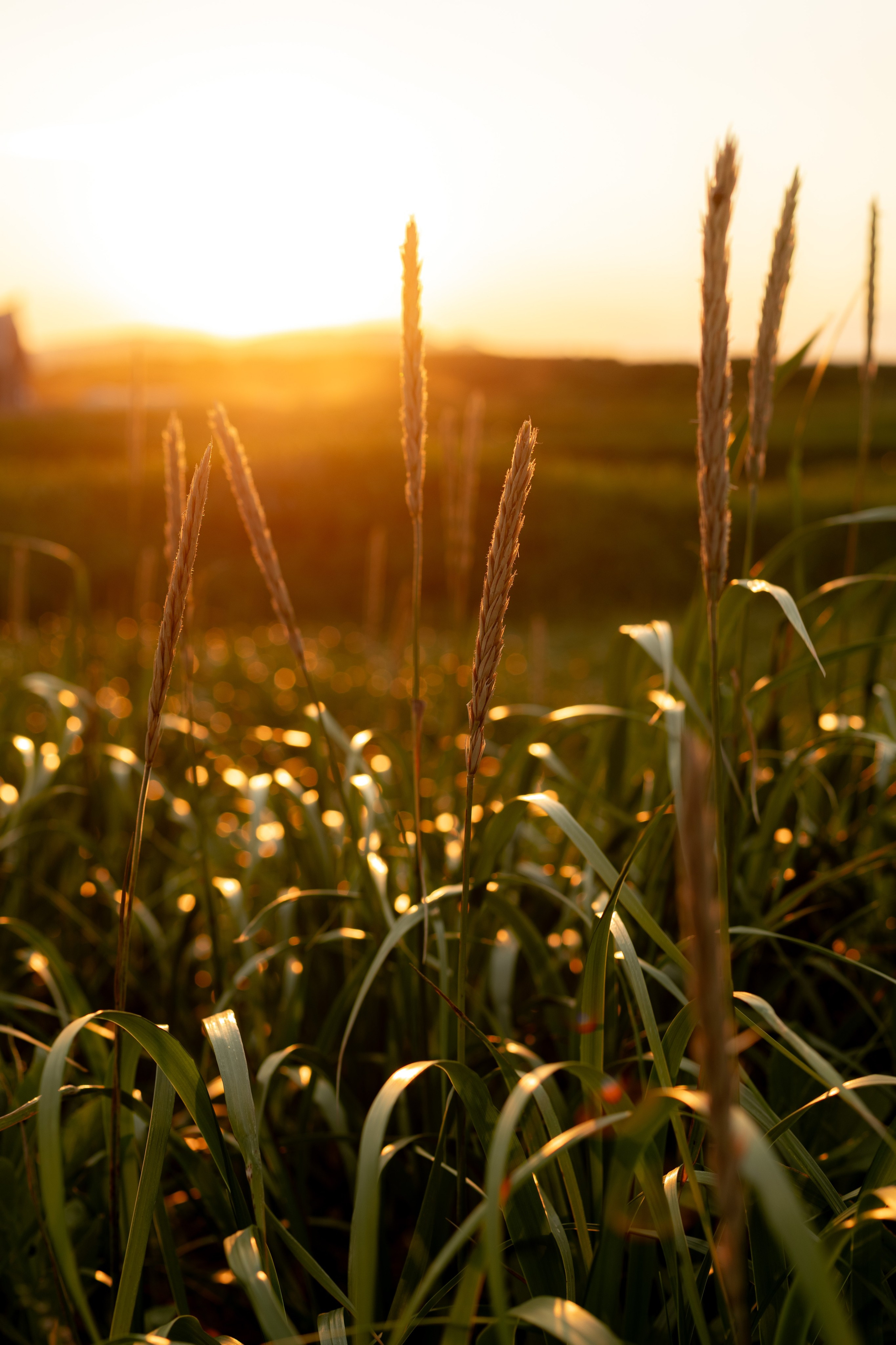 Вика & Вадим