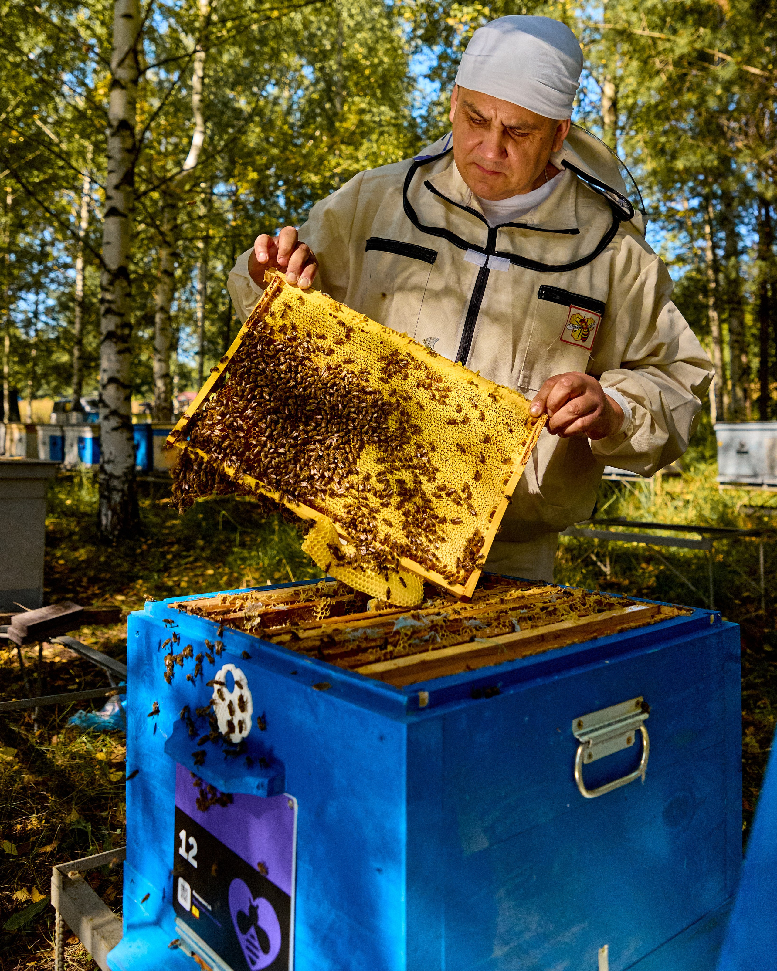 Пчелошеринг х пасека в г. Чебоксары. Святослав Лебедев | Рекламный фотограф — Коммерческая съемка, Арт-дирекшн, AI-интеграция