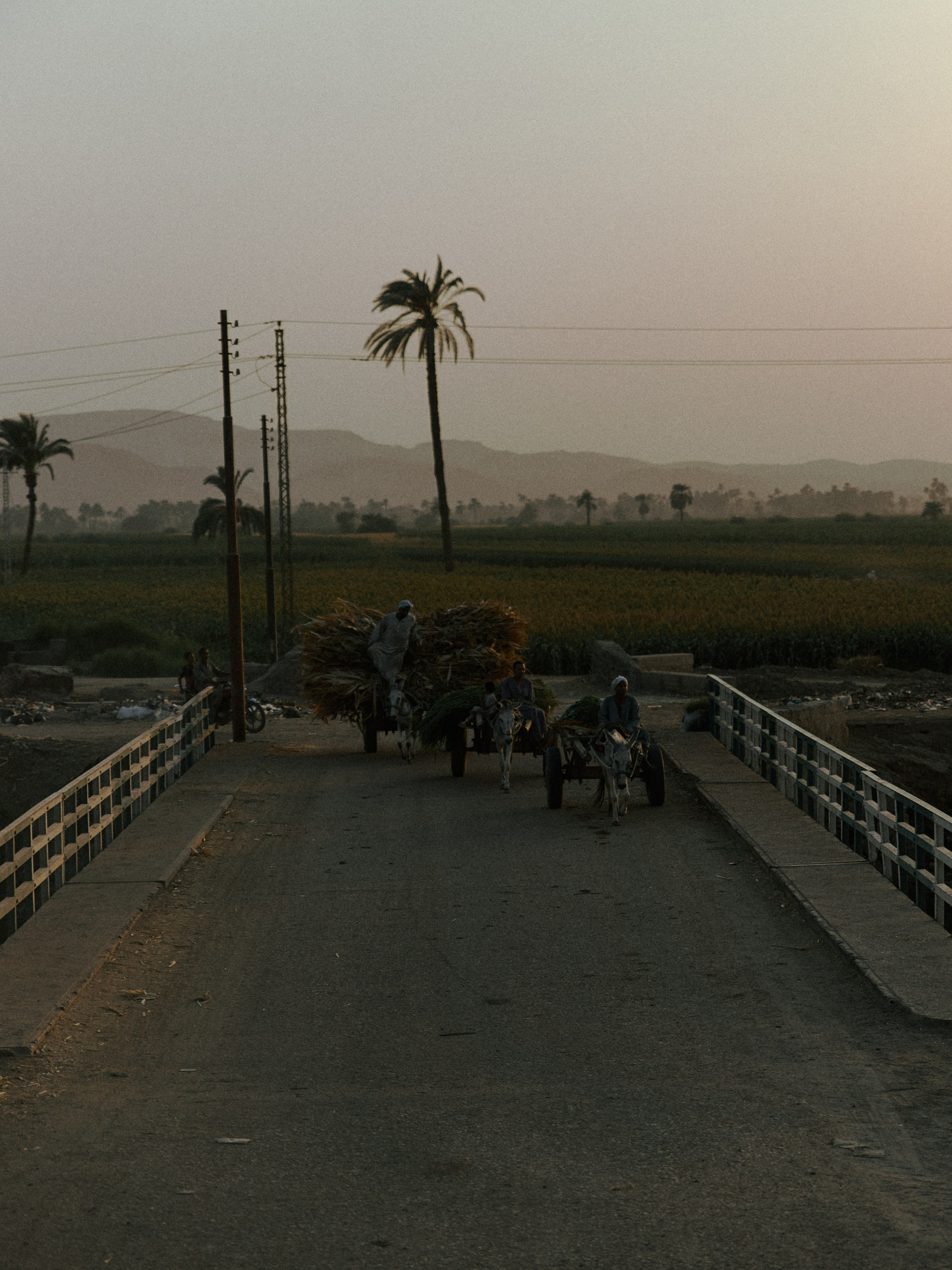 Улицы. Jorgis Talè — photographer, kind person, teacher of arts and other mag