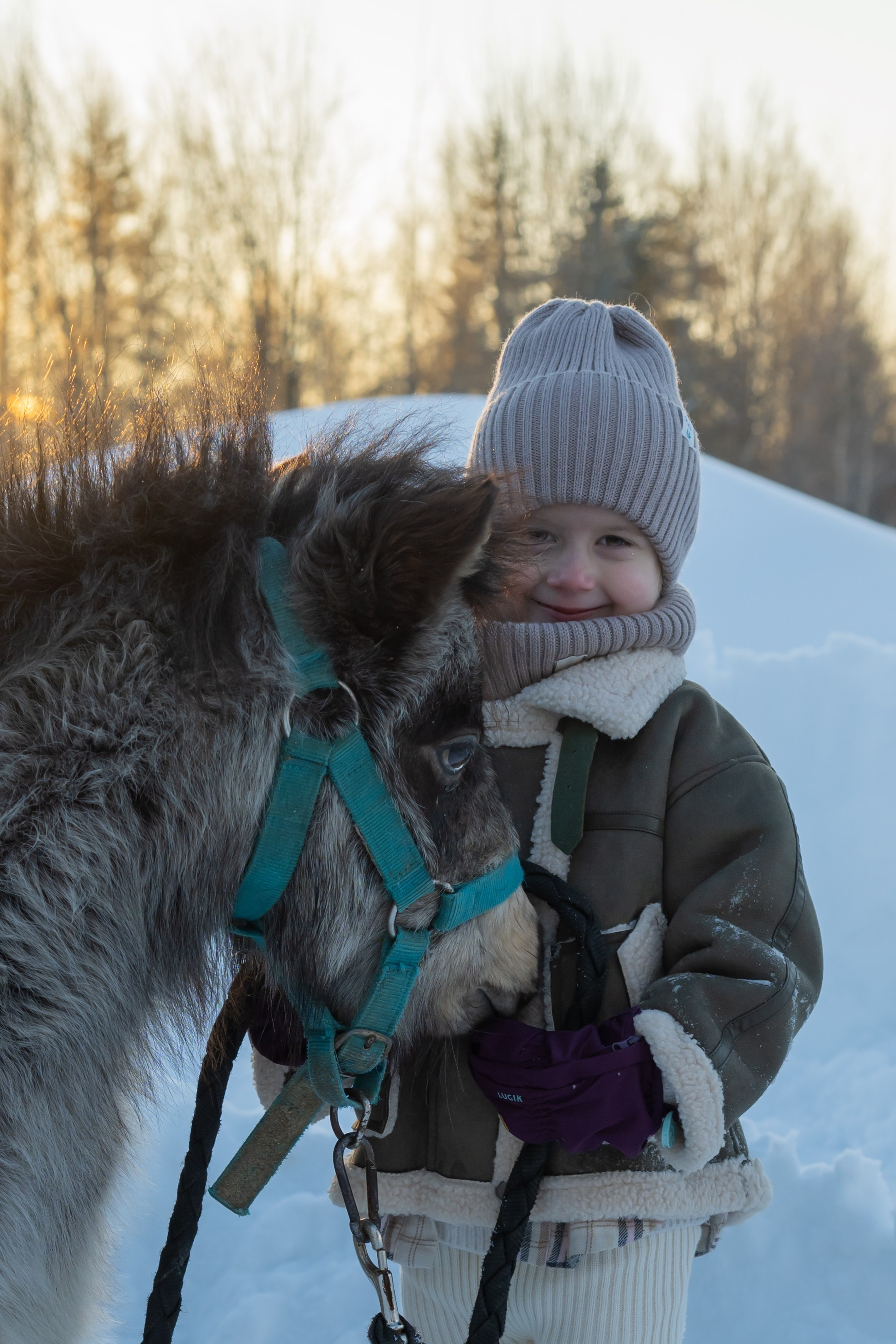 Конные прогулки. Фотограф в Санкт-Петербурге Александра Ладыгина