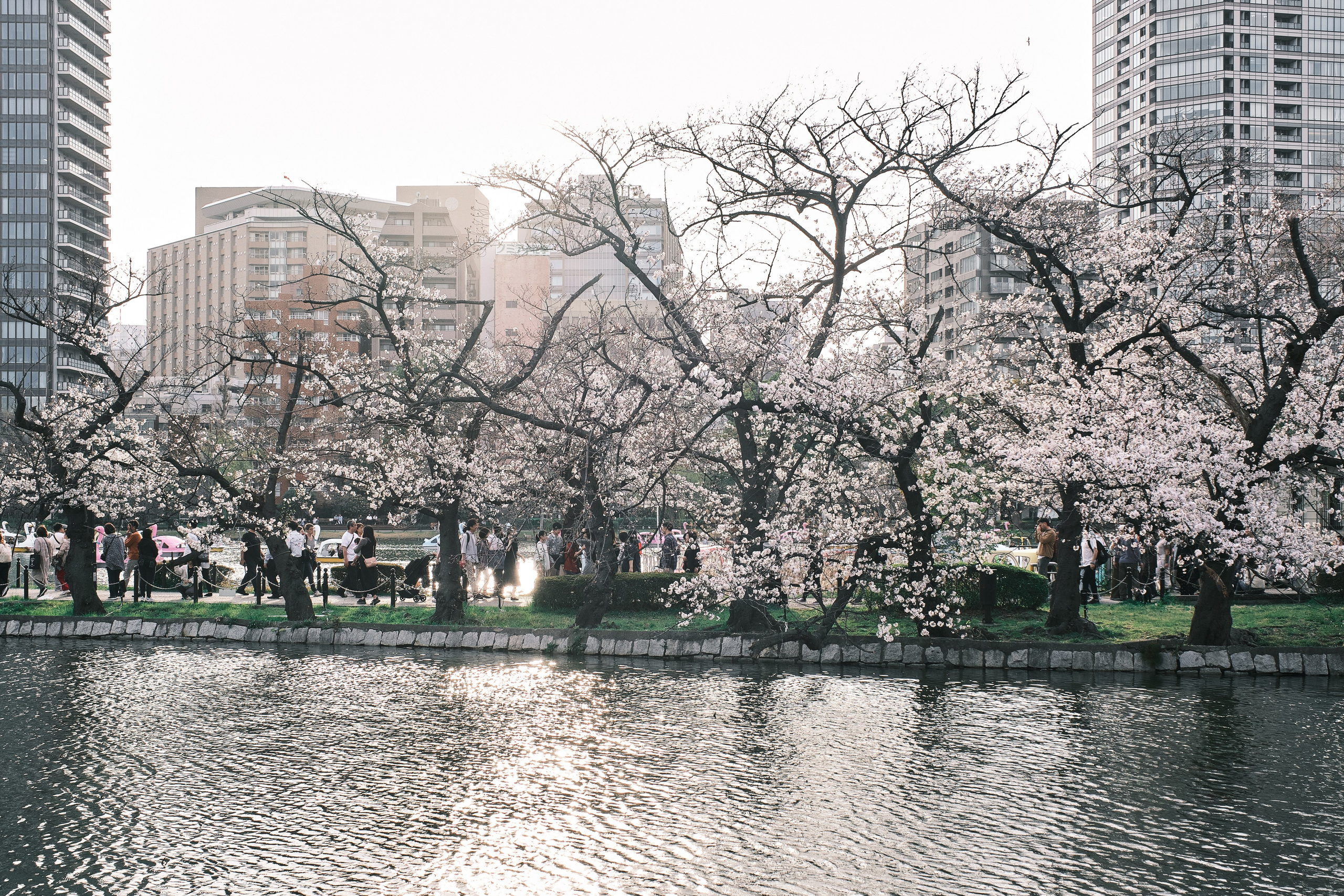 Japan / Osaka≫Kyoto≫Tokyo. Aleksandr Kobtsev