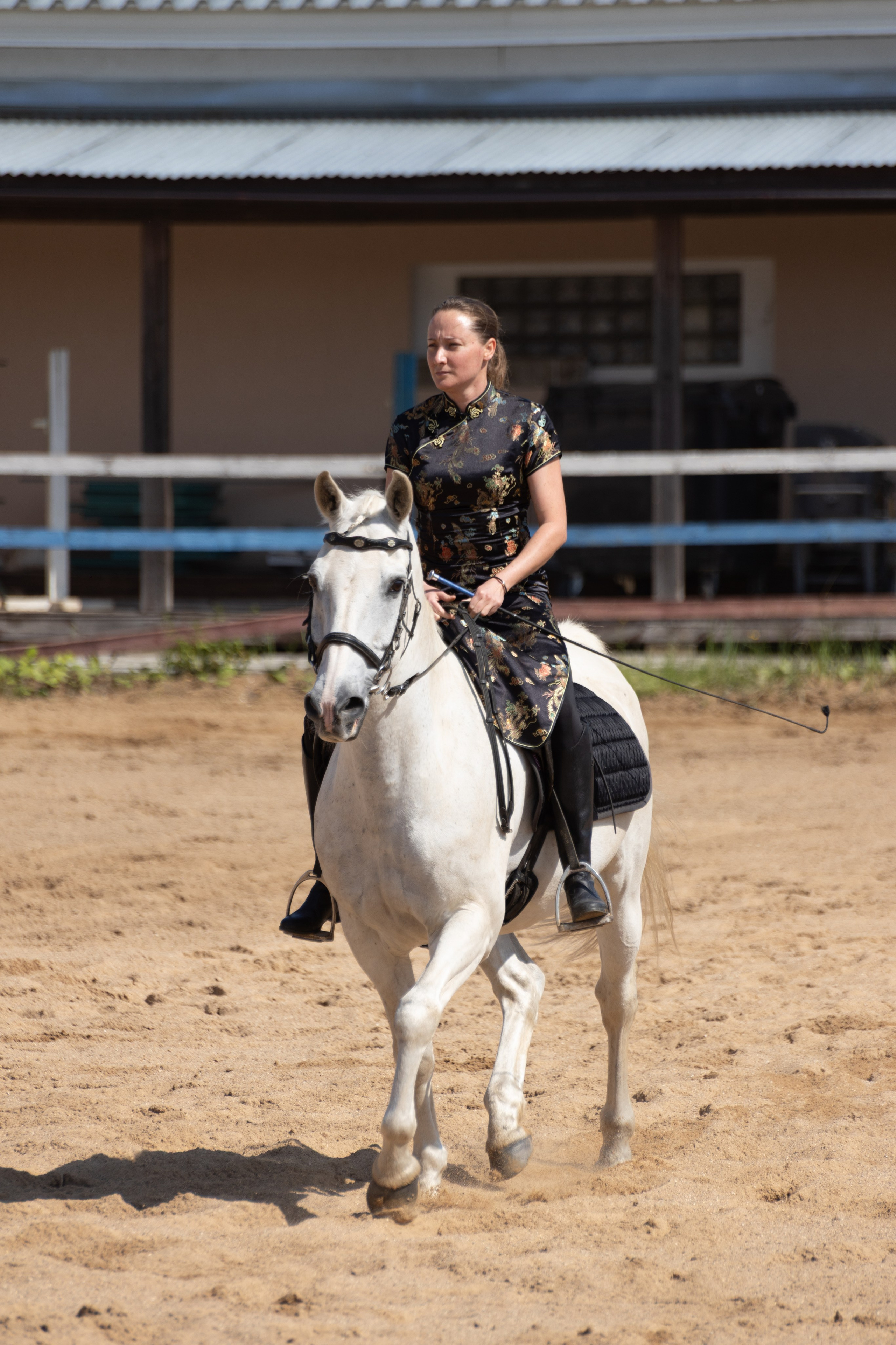 Конюшня. Фотограф в Москве и Истре