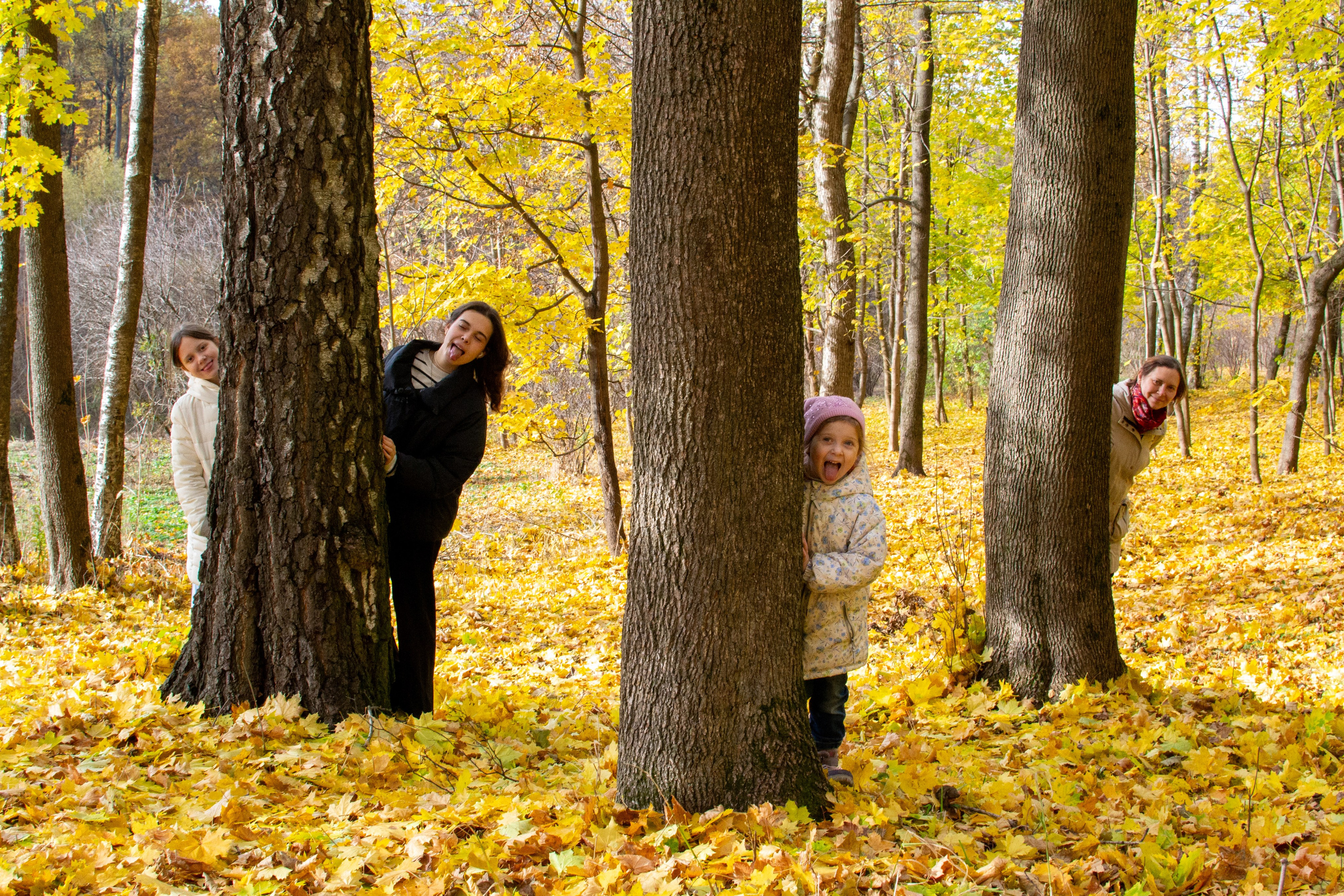 Старенький Nikon 3100 и nikkor 35 mm 1.8 (фото проявленные из RAW-NEF файлов). Фотограф в Туле Крупский АнДРей. Фотостудия «КАДР71» в Туле