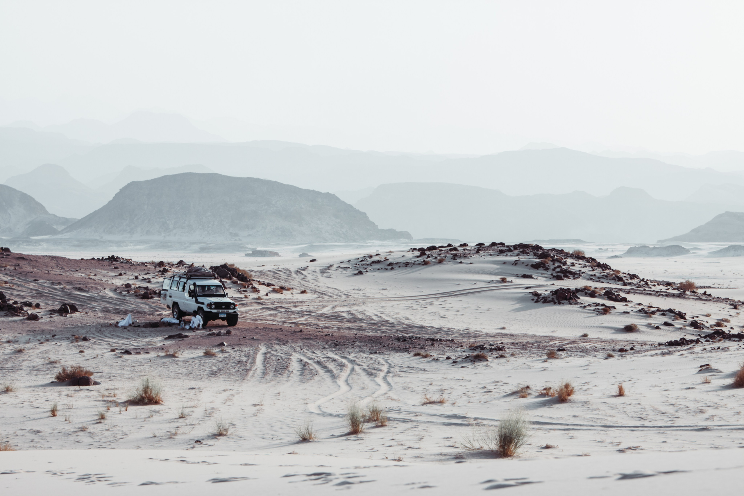 Дюна. ДарияГалямова — фотограф: открытый, творческий, коммерческий