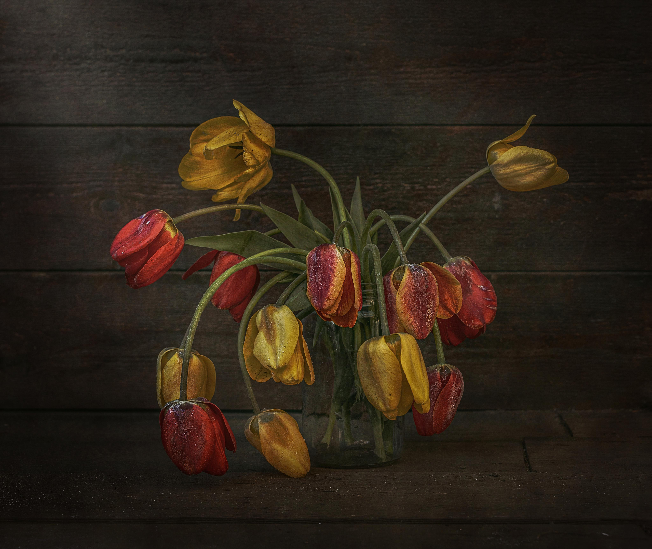 Натюрморты. Сказочная галерея Юлии Горбуновой