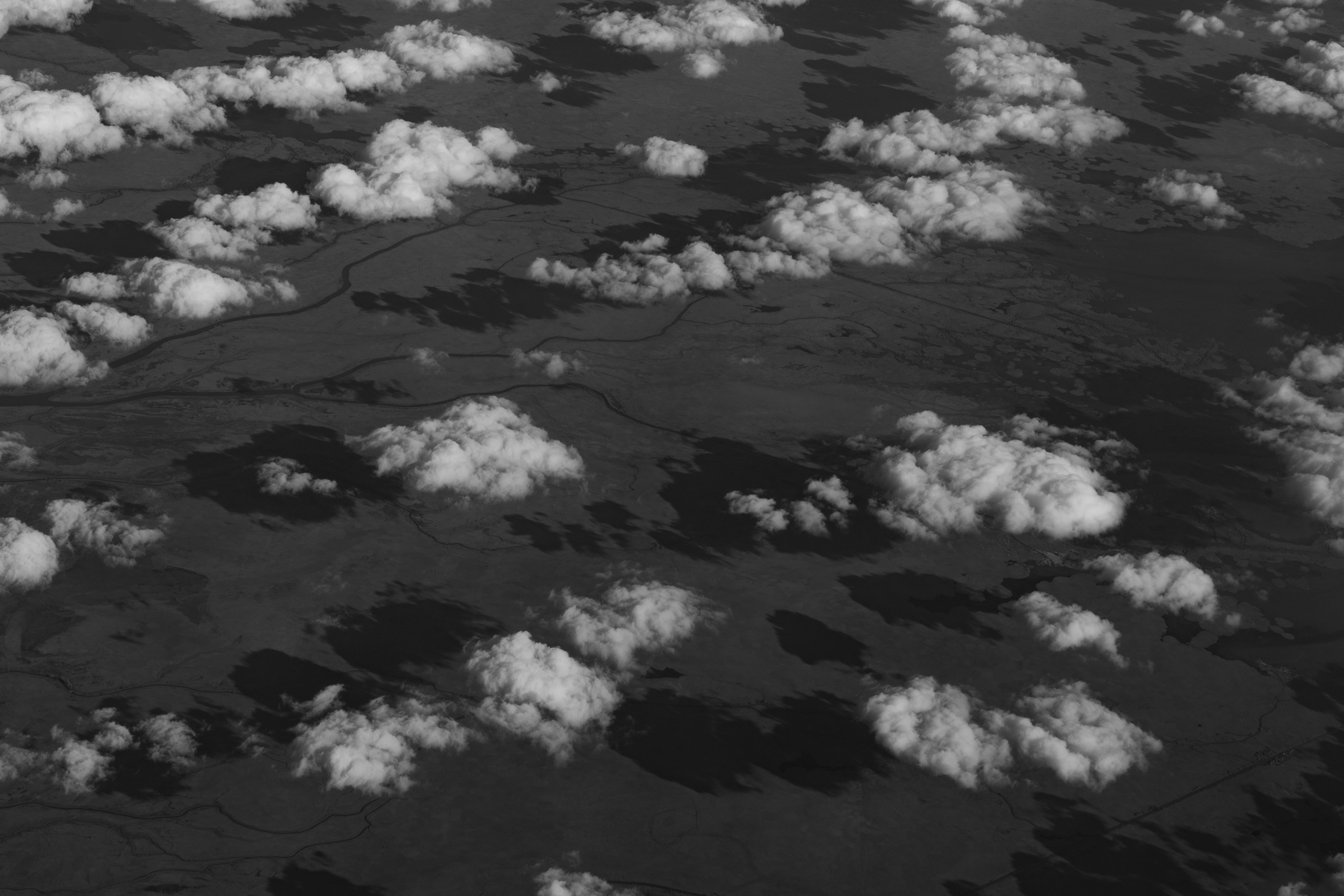 Art prints. Фотограф алина стерхова, алина стерхова фотограф, фотограф москва