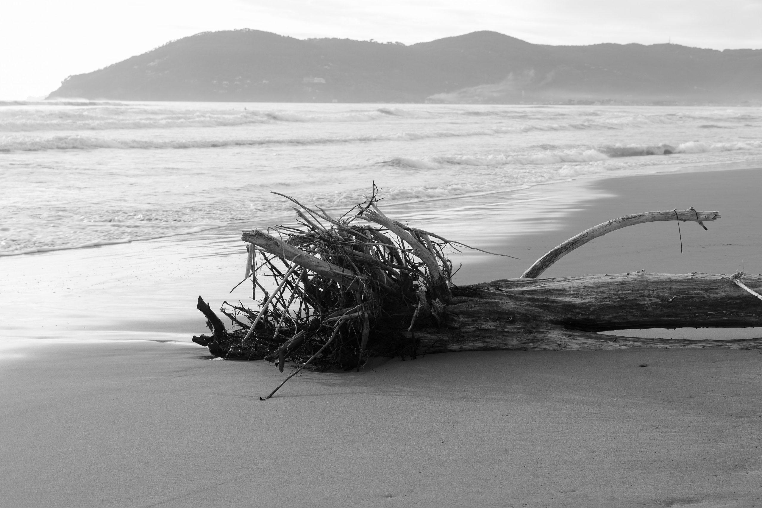 Art prints. Фотограф алина стерхова, алина стерхова фотограф, фотограф москва