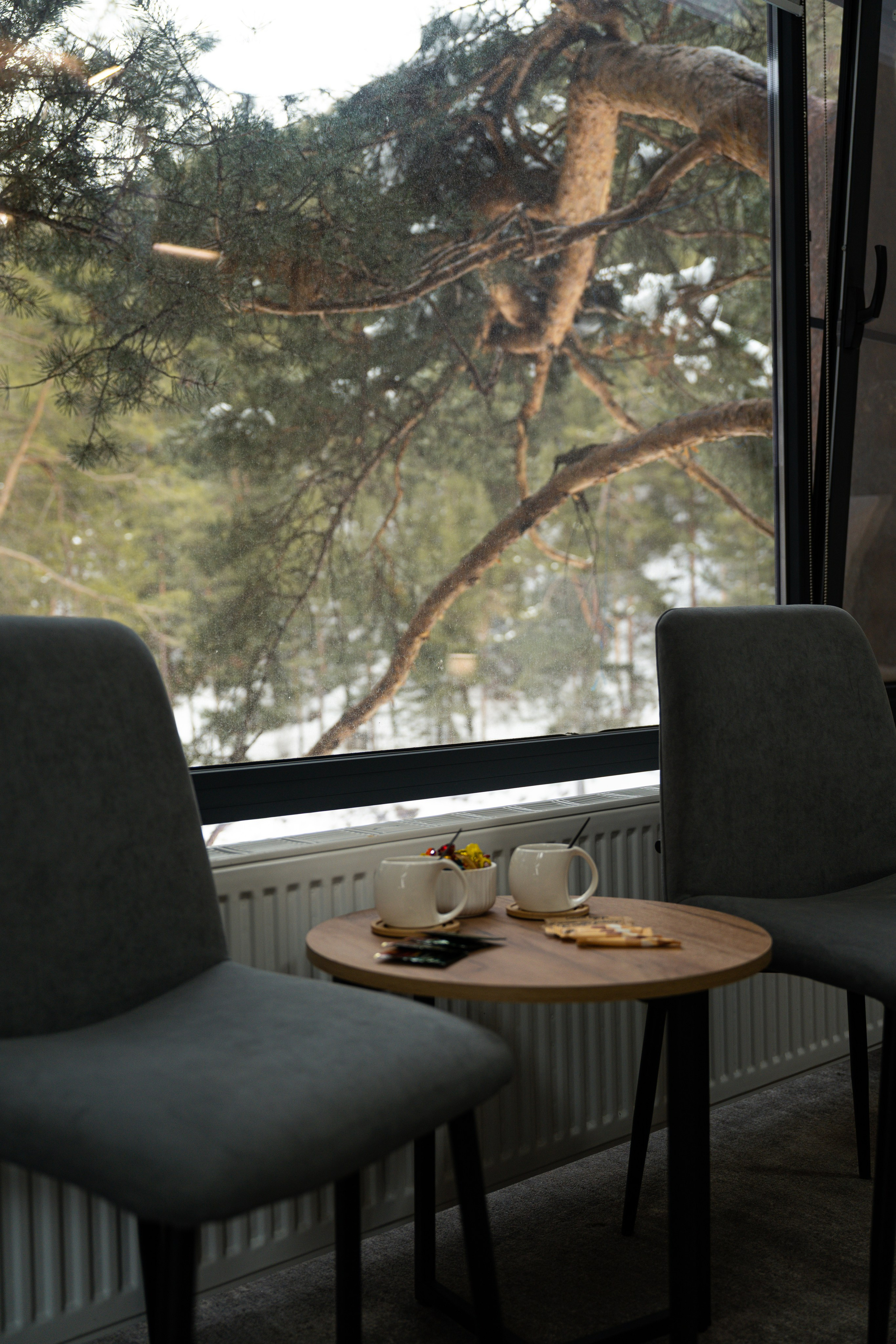 Эклер. Фотограф и видеограф Елена Хмелевская