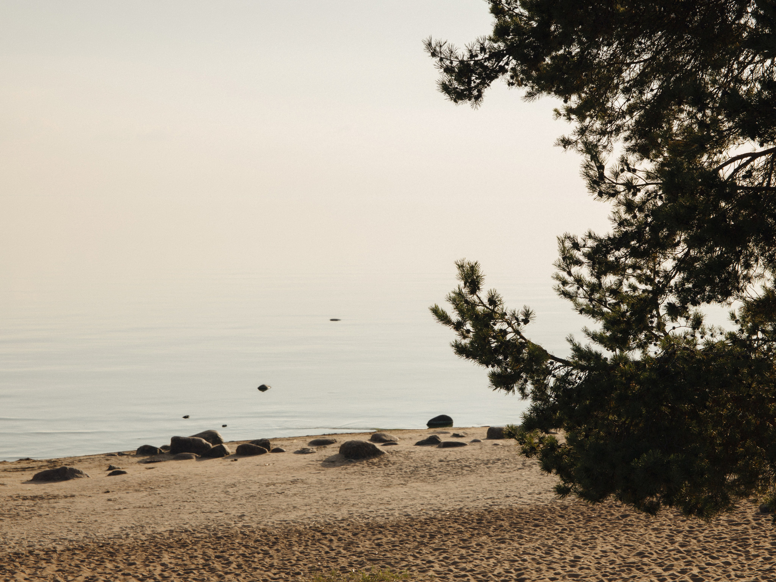 D & J | 09.09.2025. Фотограф Санкт-Петербург Евгения Корякина (eva_maruu)