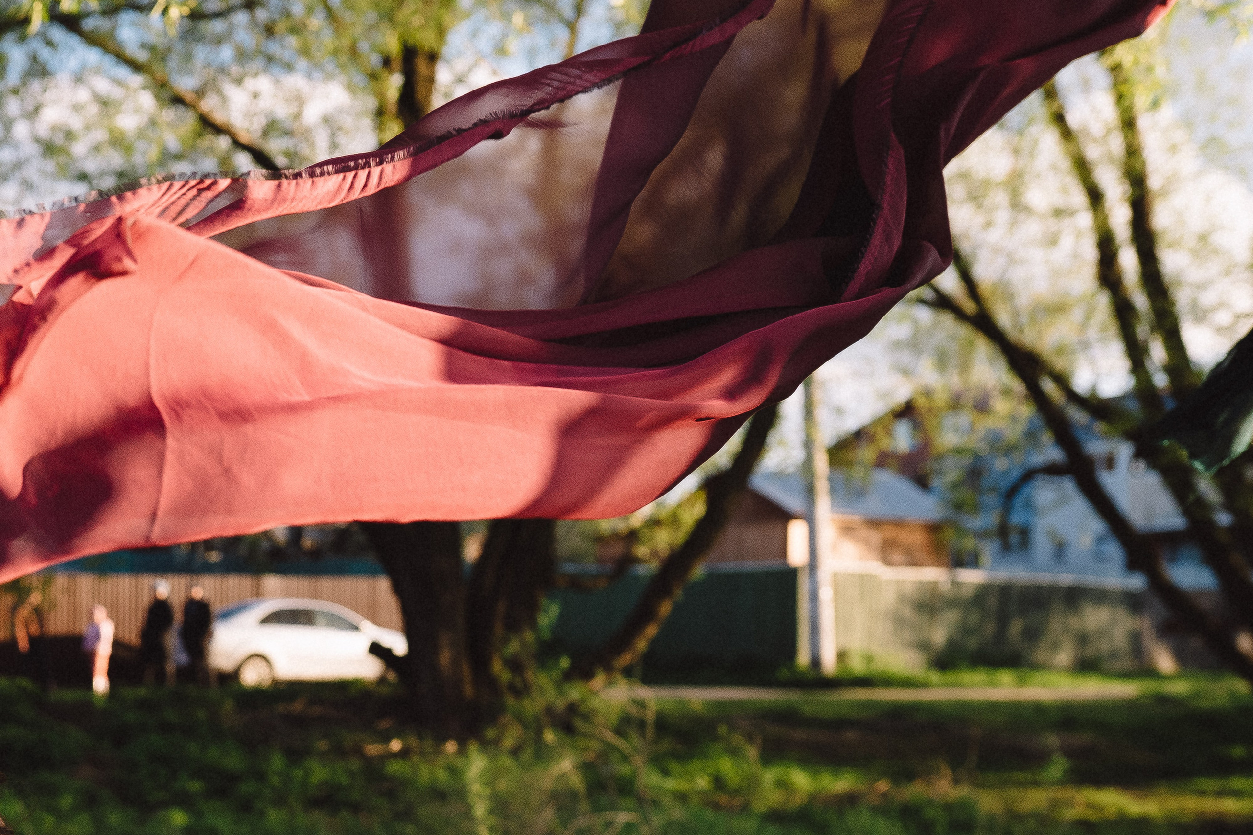 На ковре-самолете, мимо радуги. Андрейко Надежда