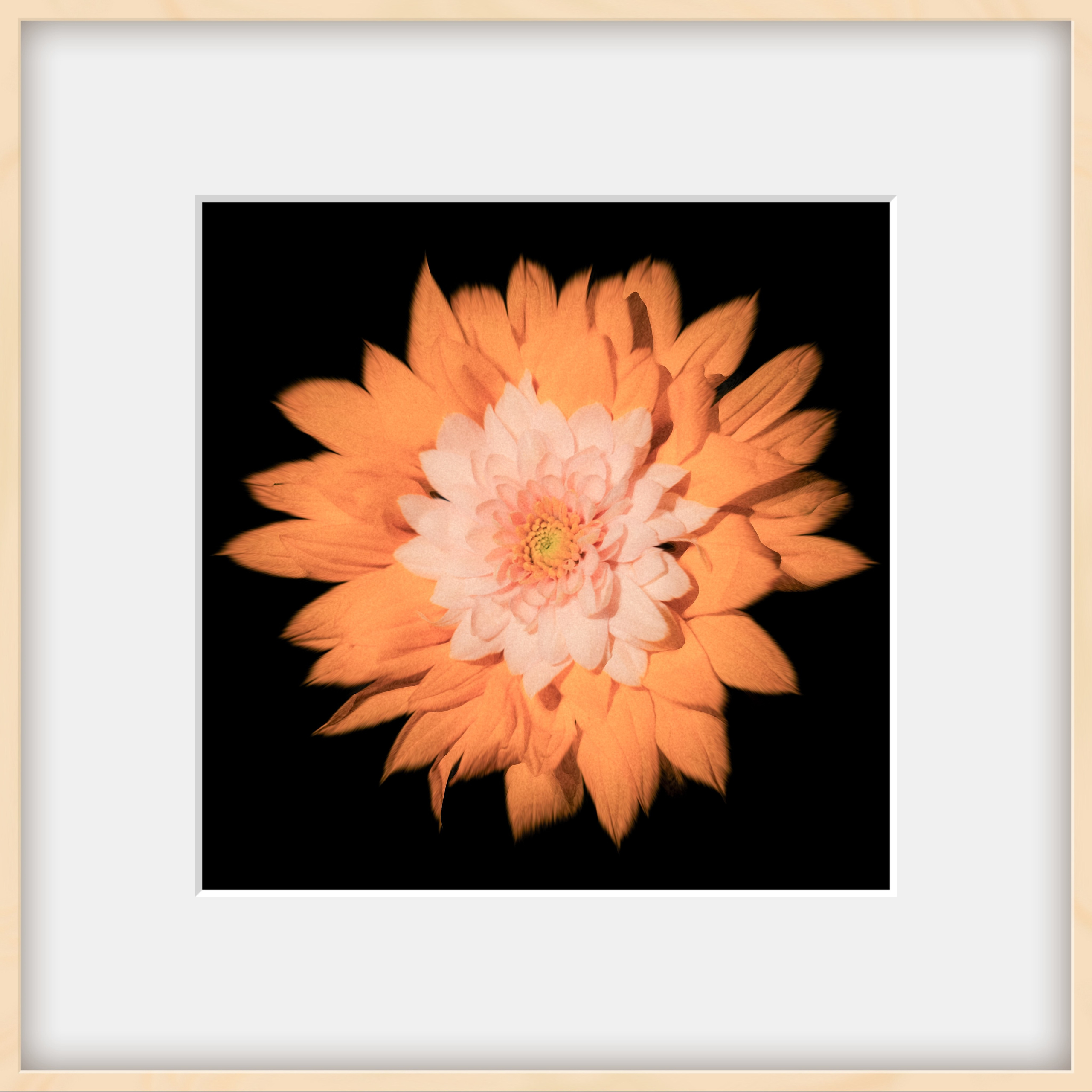 Арт декомпозиции. Мистические фотосессии в Санкт-Петербурге от мистика Ильи Шенгелия