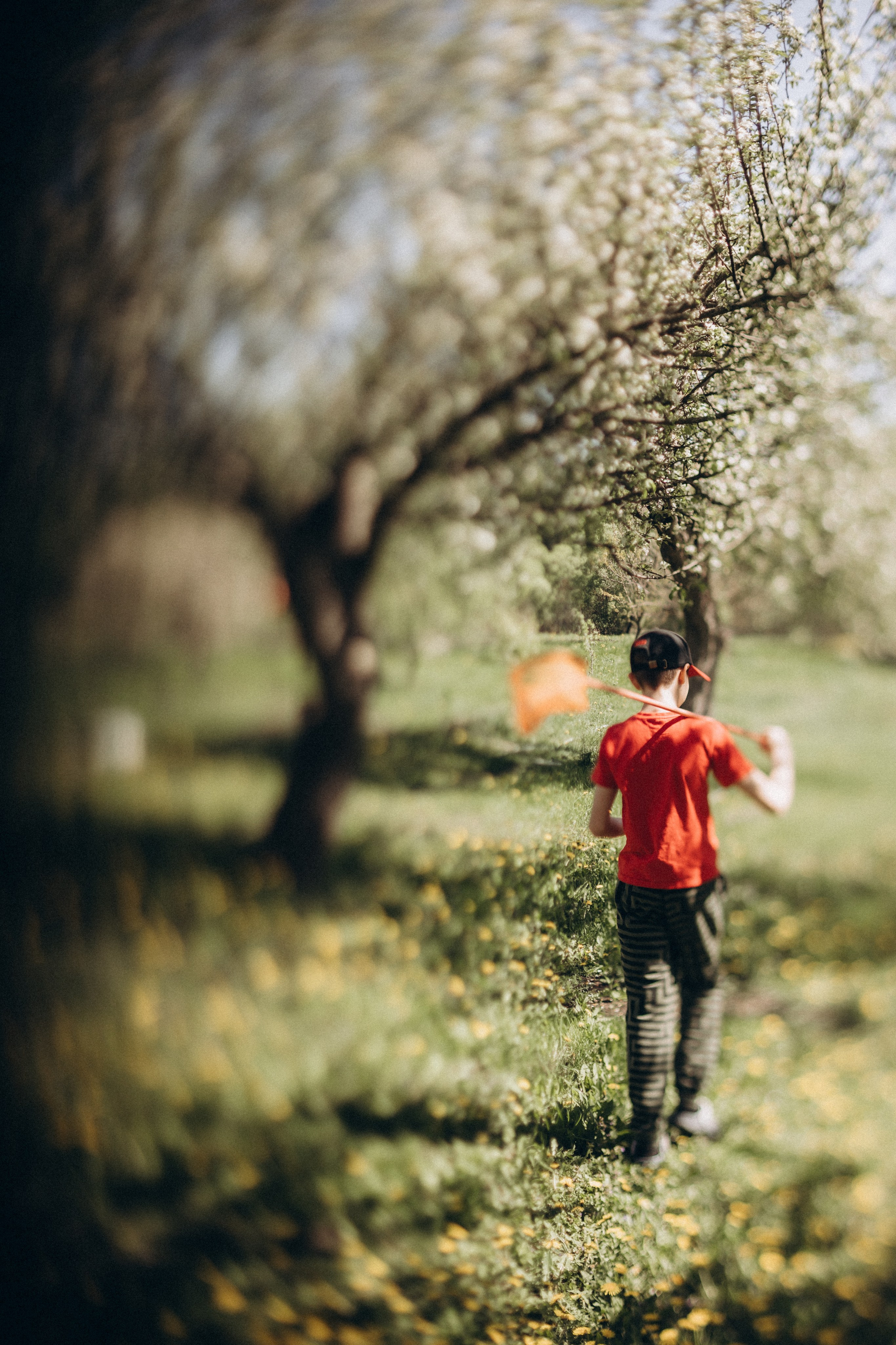 Деревенские зарисовки. Семейный LIFESTYLE фотограф в Москве