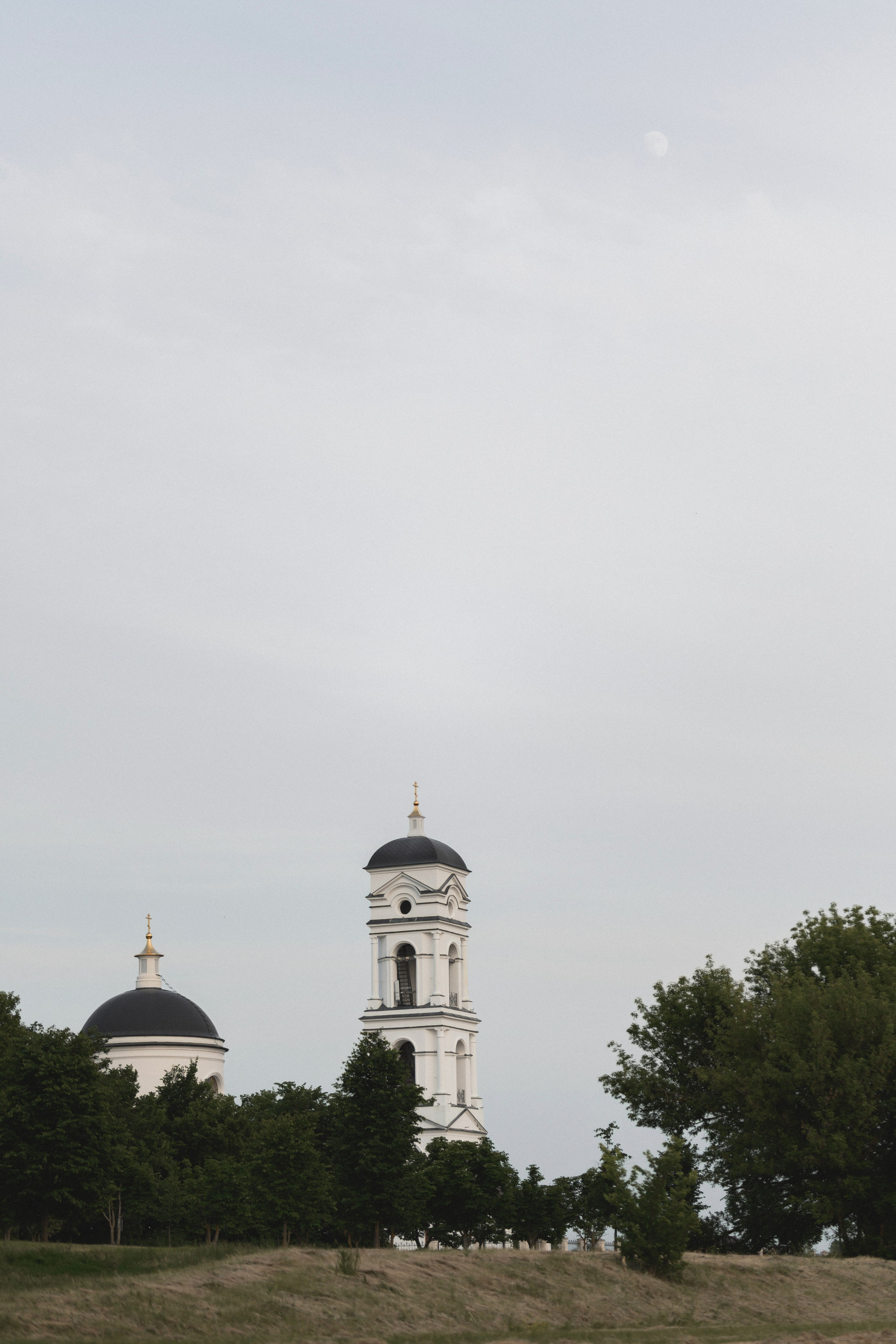 Мария и Давид. Репортажный фотограф Ефимов Егор