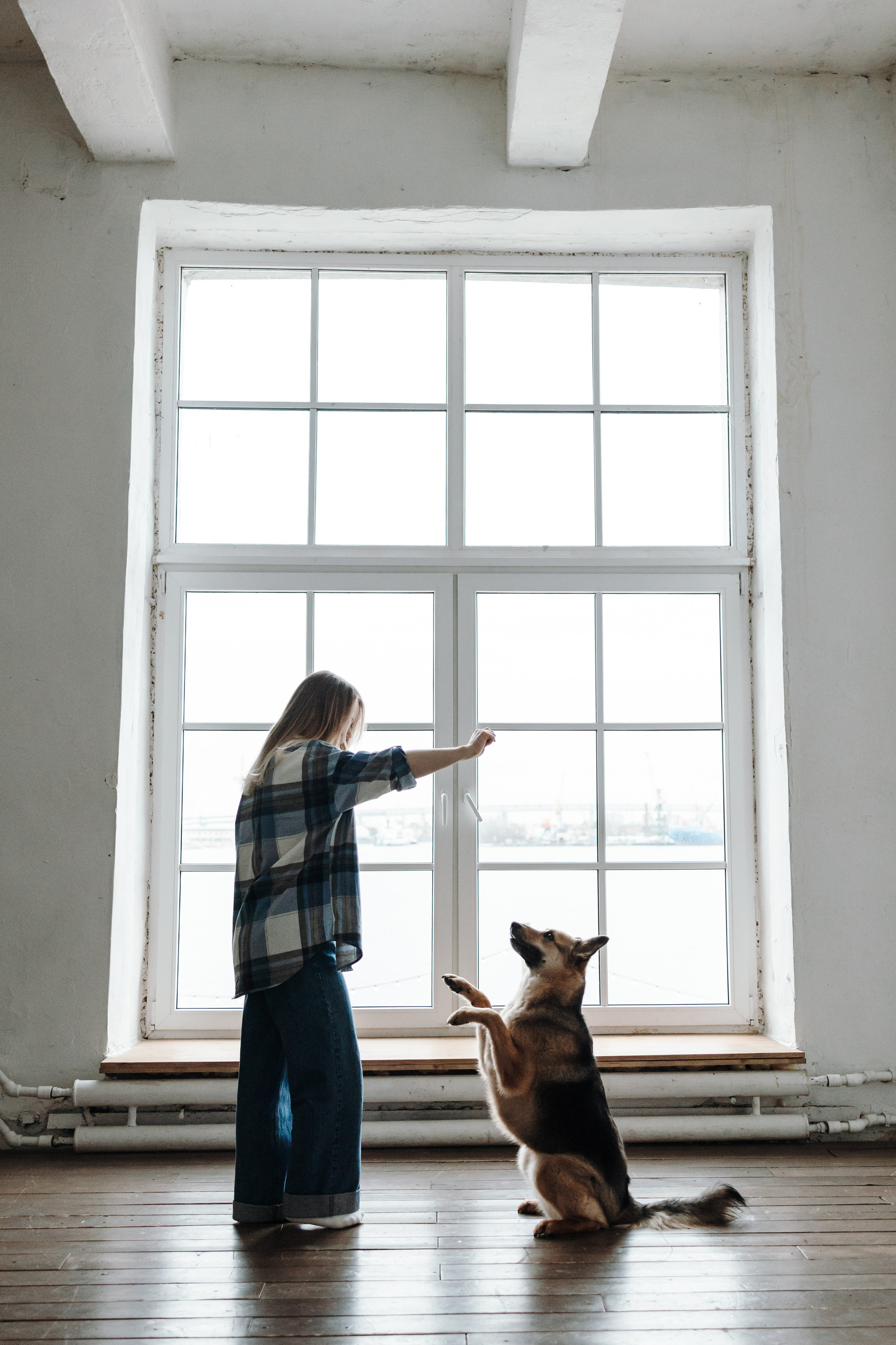 Лена и Дёма. Фотограф — Анималист | Санкт-Петербург