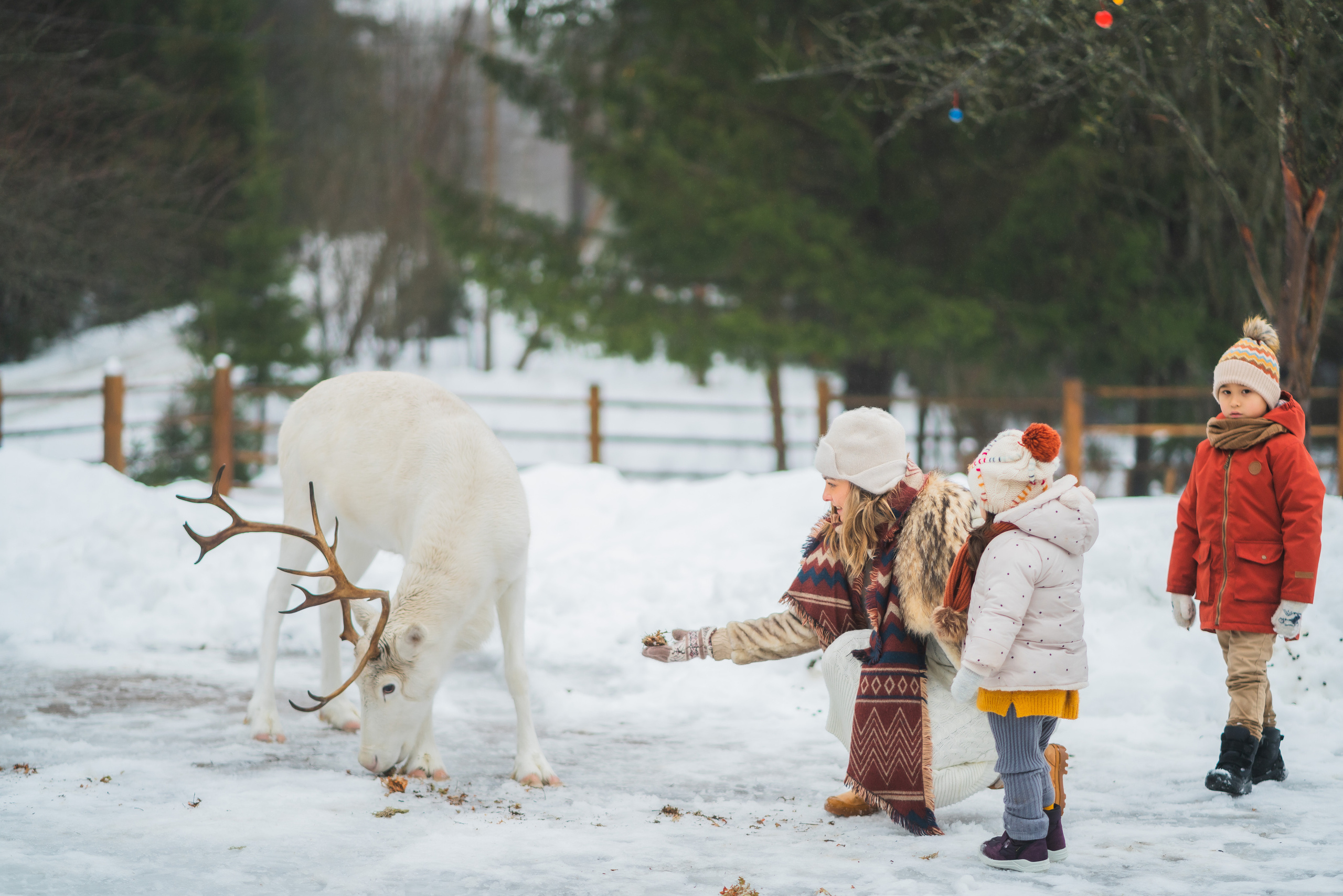 Family photography in Austin, TX | Unposed, playful & full of life | Anny Smirnova