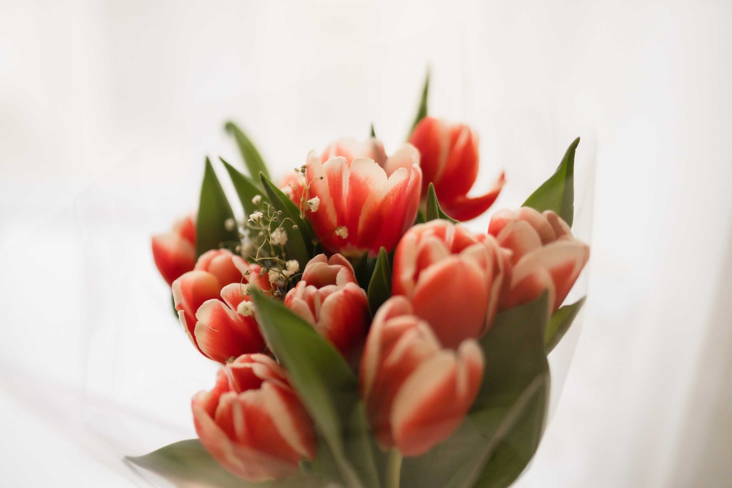 Birth story sweet little girl