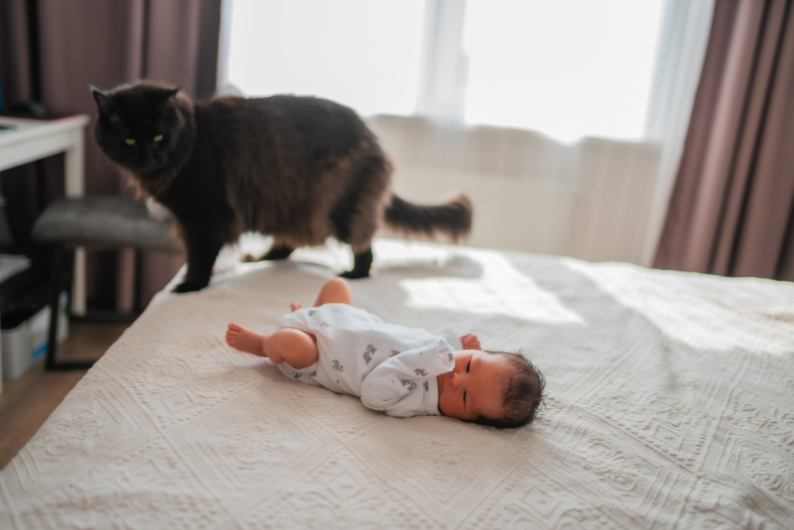 Fresh 24/48 newborn photos | First days in the hospital or at home | Anny Smirnova