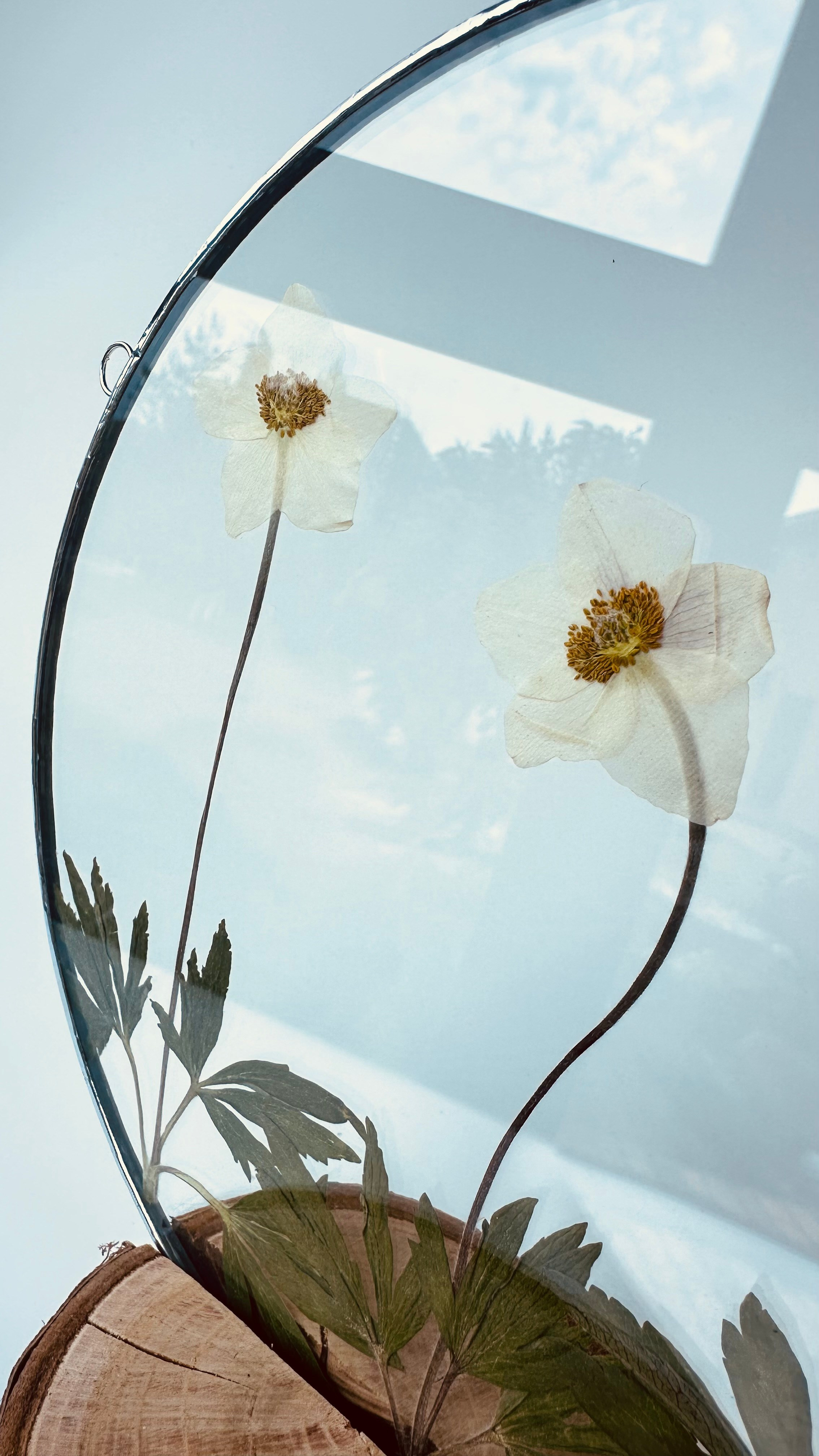 Засушенные цветы в стекле витраж техника тиффани. Гербарий в стекле, интерьерные панно, витражи с сухоцветами в технике тиффани