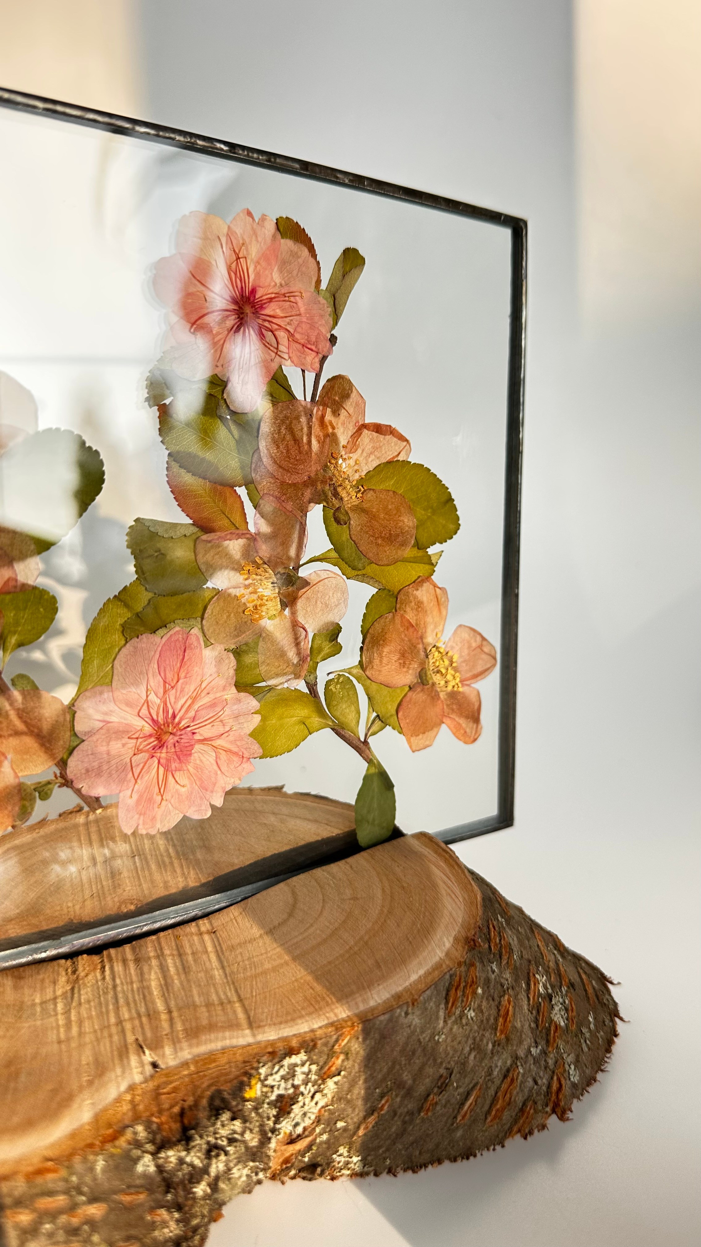 Гербарий в стекле с сухоцветами (витраж в технике тиффани). Гербарий в стекле, интерьерные панно, витражи с сухоцветами в технике тиффани