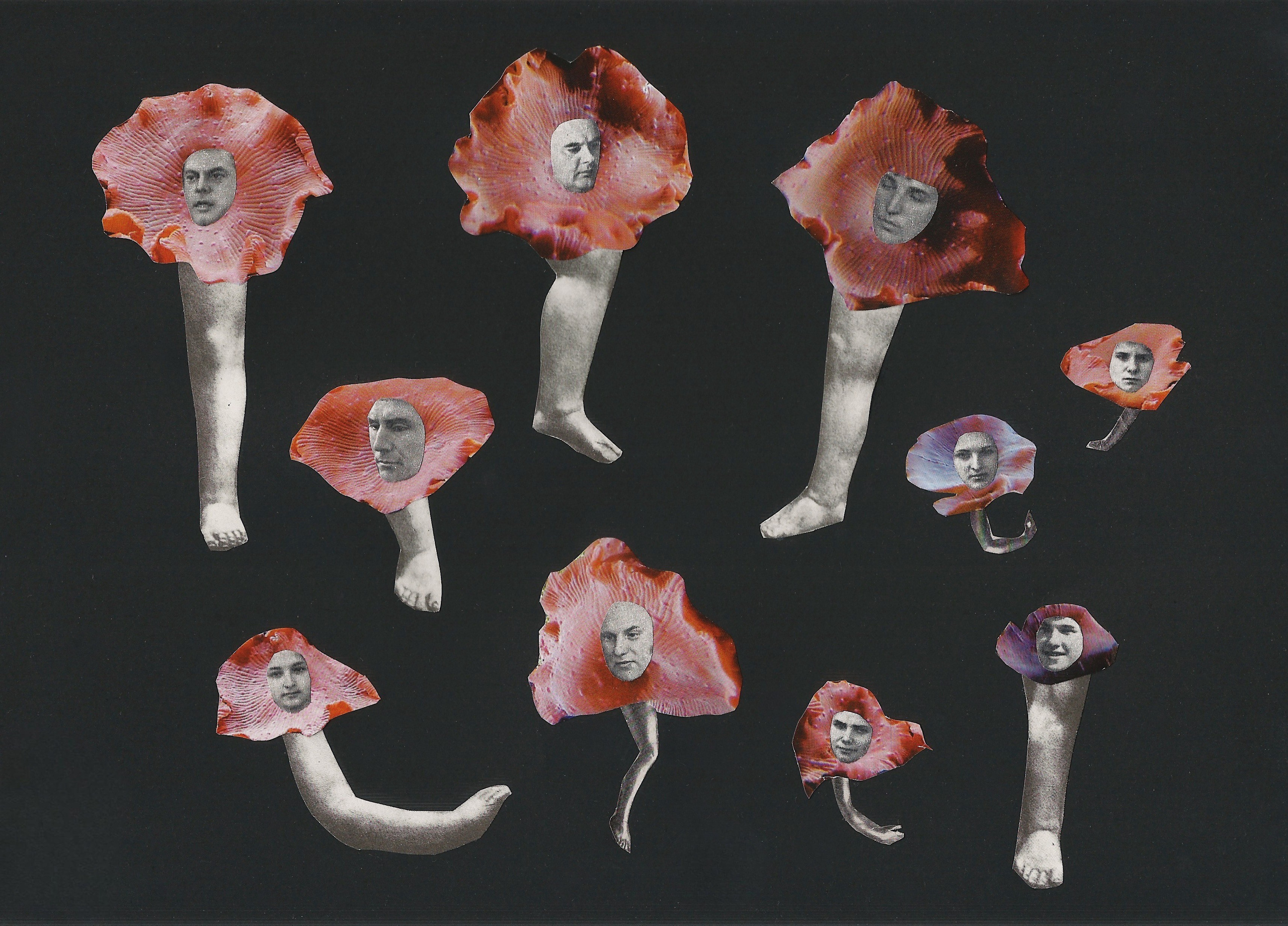 Мои работы. Фотограф и коллажист Ольга Шереметьева