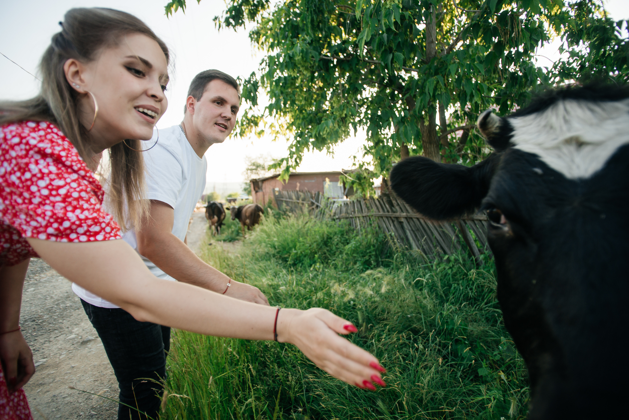 Love story Ани и Лёши. Свадебный и портретный фотограф в Комсомольске-на-Амуре Сергей Лазарен