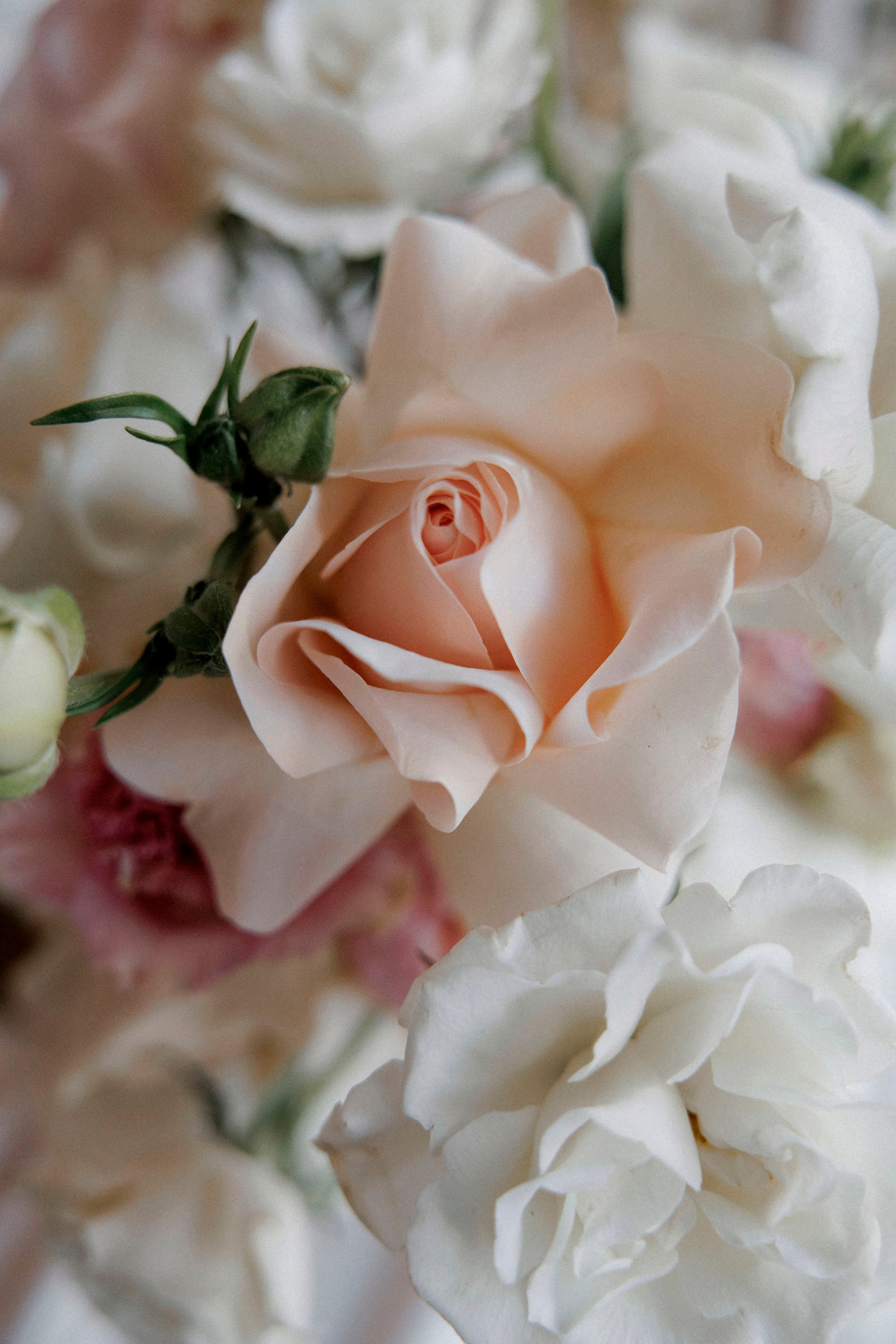 Beatrice & Gioele | Italy. Wedding and family photographer