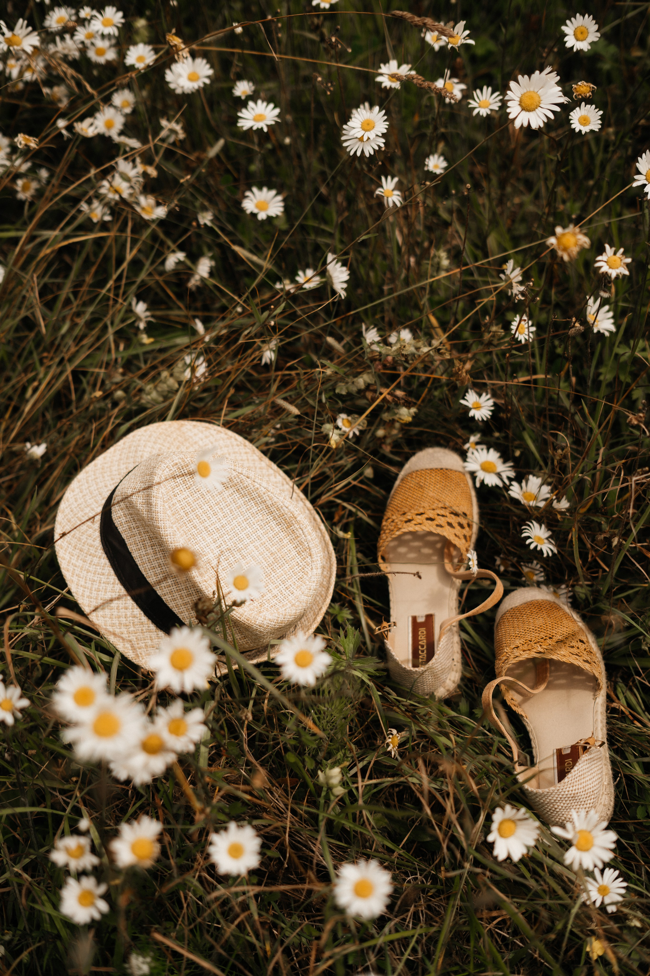 Самый красивый цветок. Фотограф сахалин