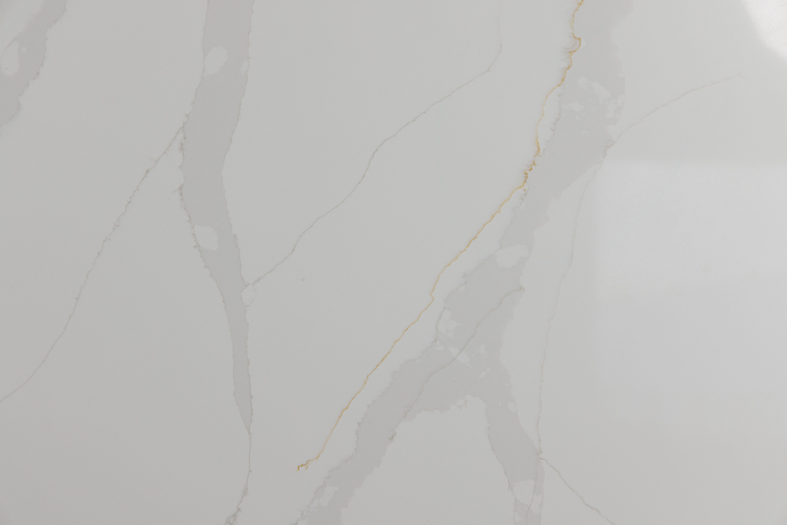 Макро съемка. Фотограф Балаев Михаил