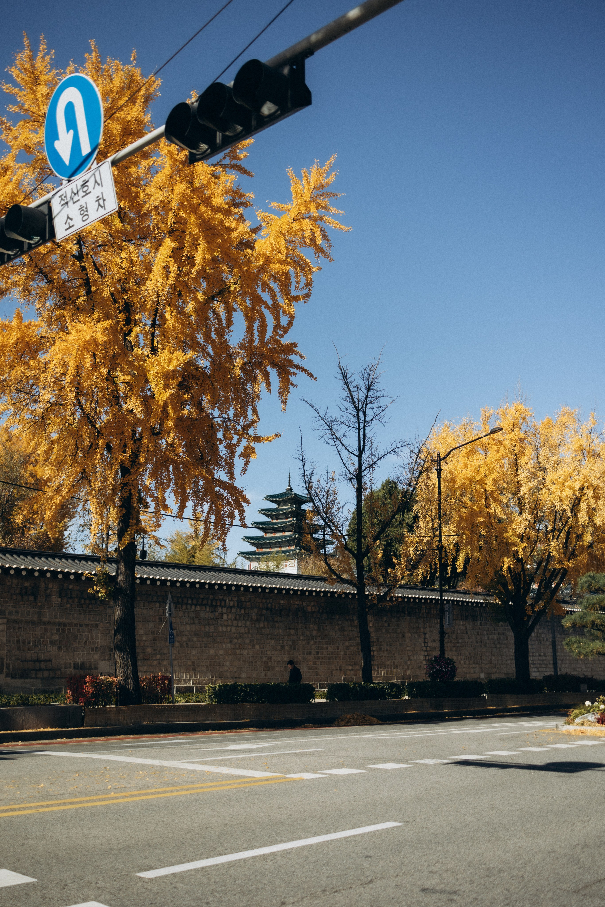 Фотосессия Маши и Саши в ханбоках. Фотограф Артем Бросов в Санкт-Петербурге и Дубае