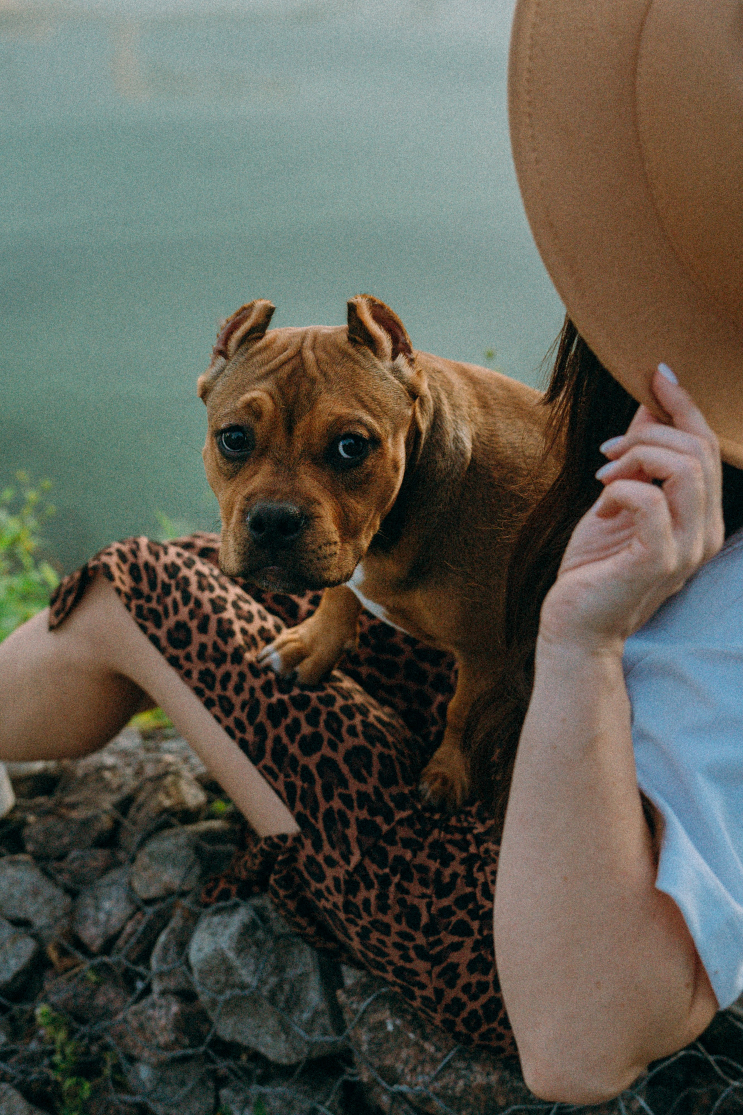 Кристина и Эфи. Фотограф анималист в Москве и Санкт-Петербурге Свиридова Анна