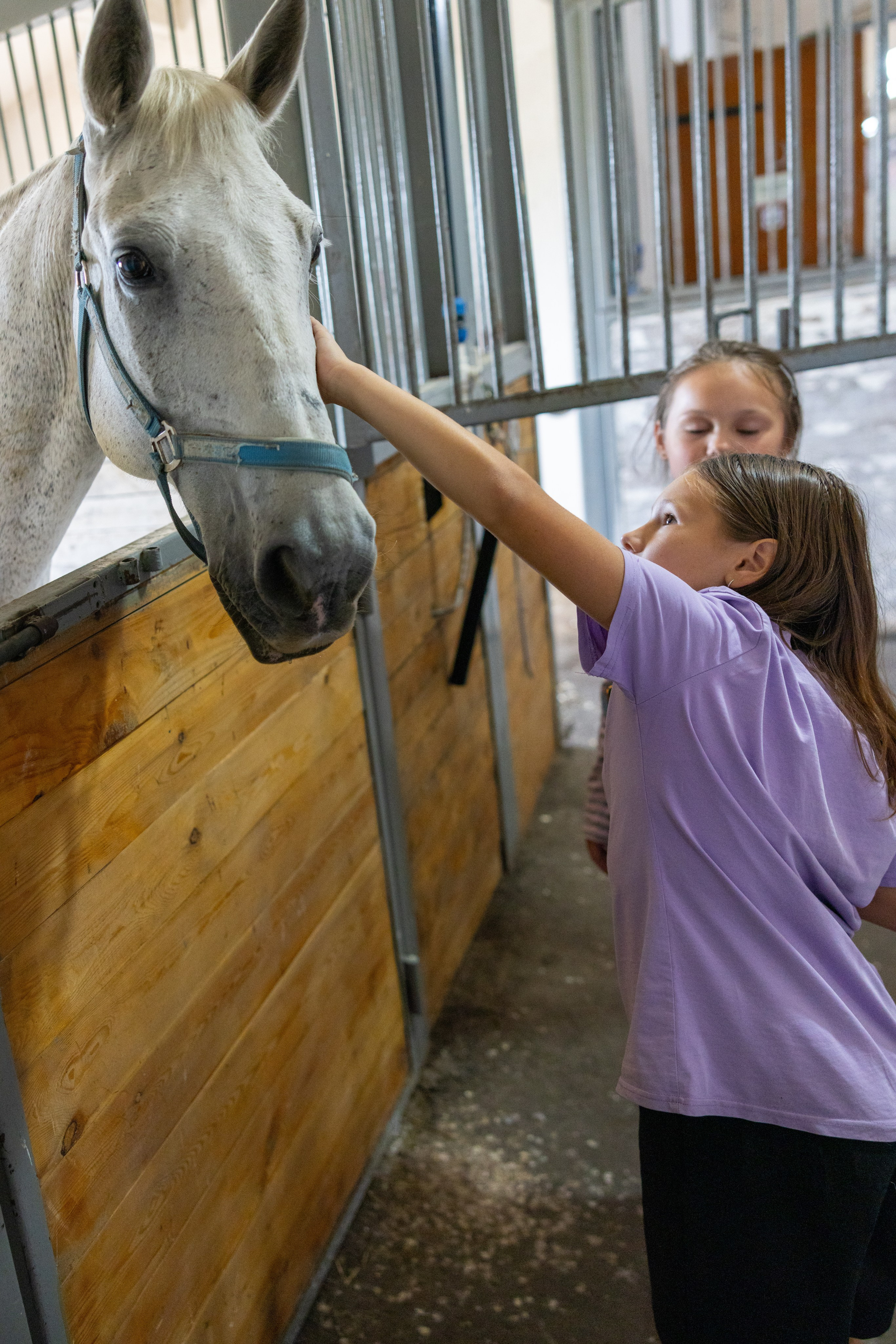 Поездка на поле Кулеково. Фотограф в Туле Крупский АнДРей. Фотостудия «КАДР71» в Туле
