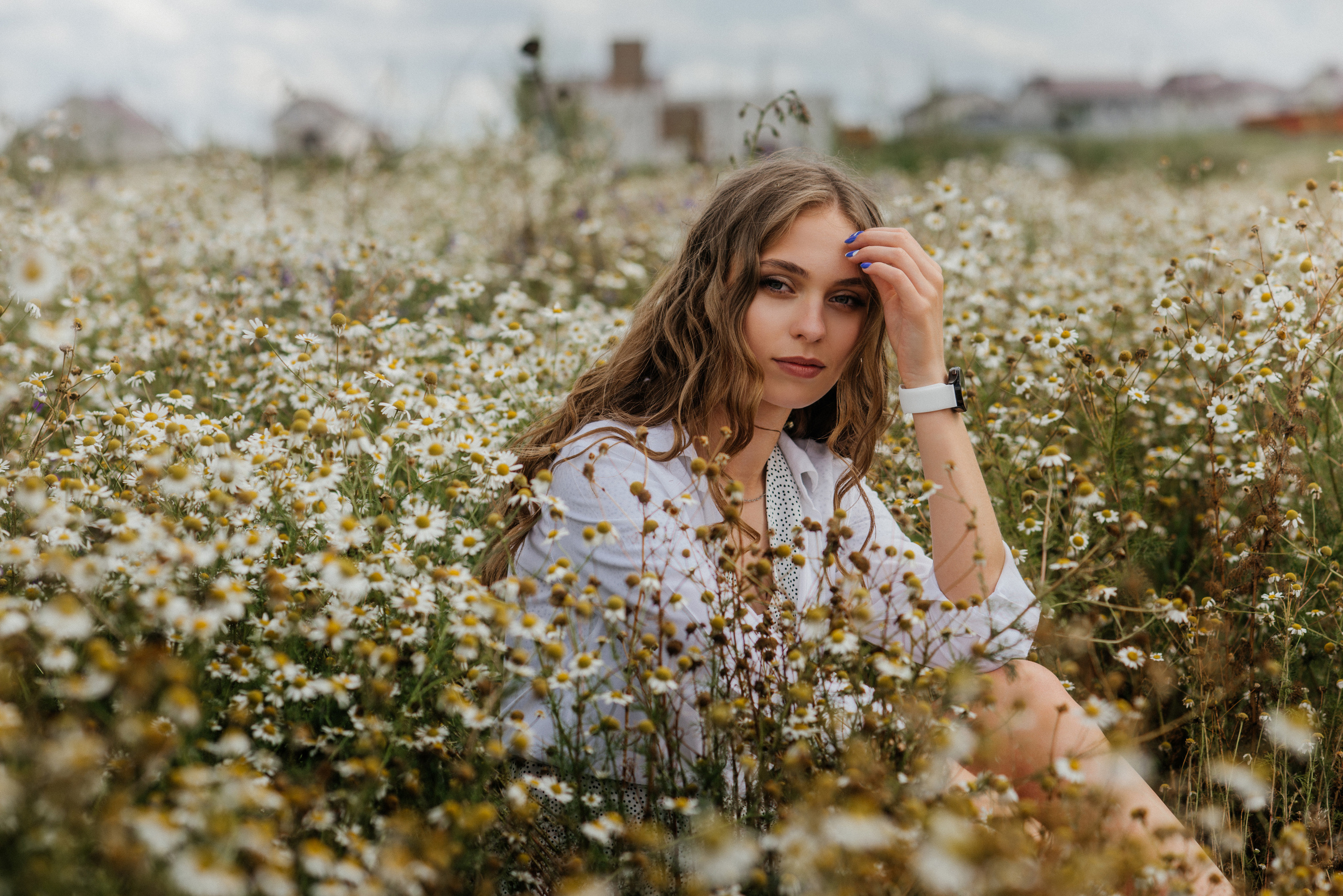 Ромашковое поле. Марина Тюкачева свадебный, семейный, детский фотограф