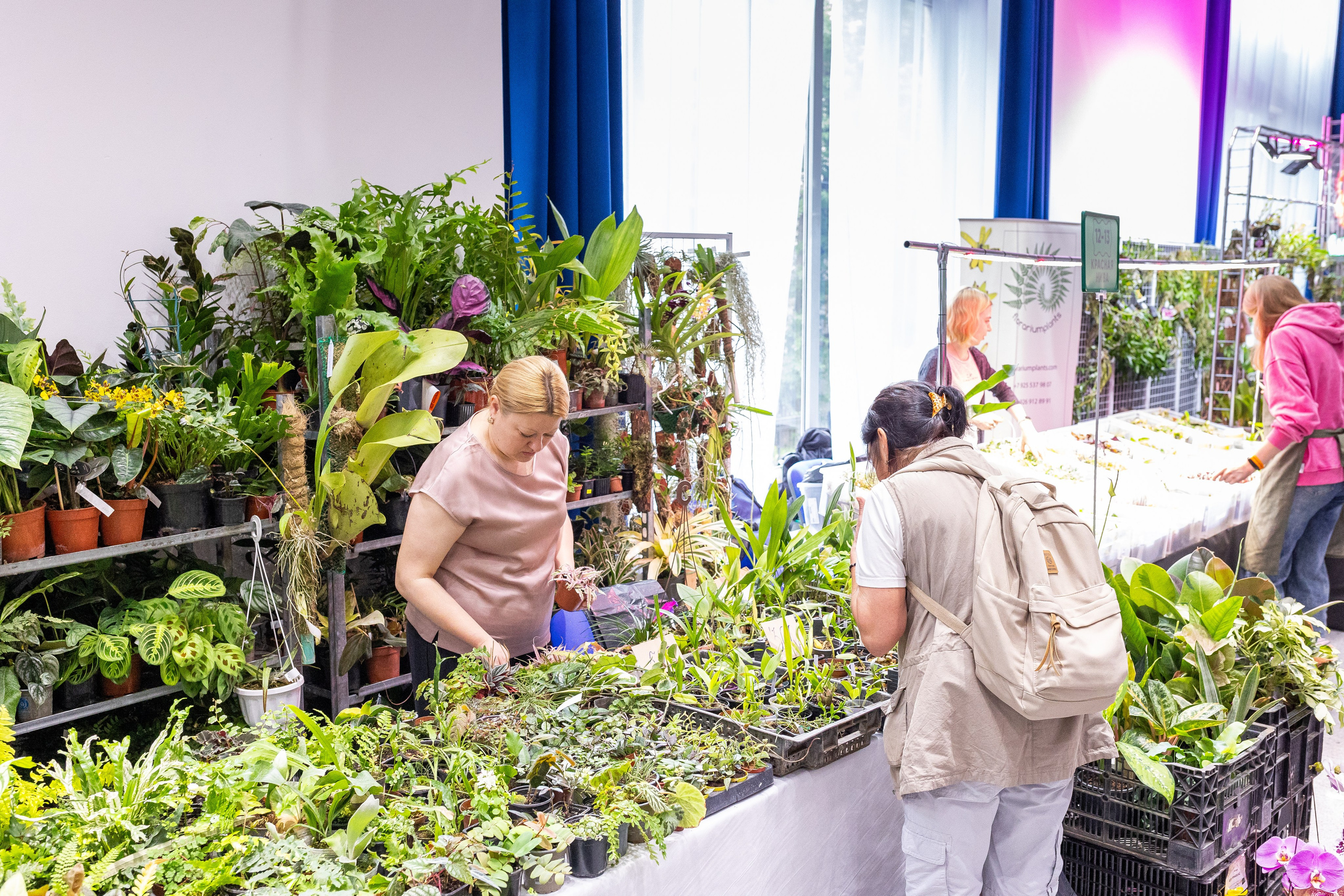 Орхидиум май 2025. Александра Куликова фотограф, Москва