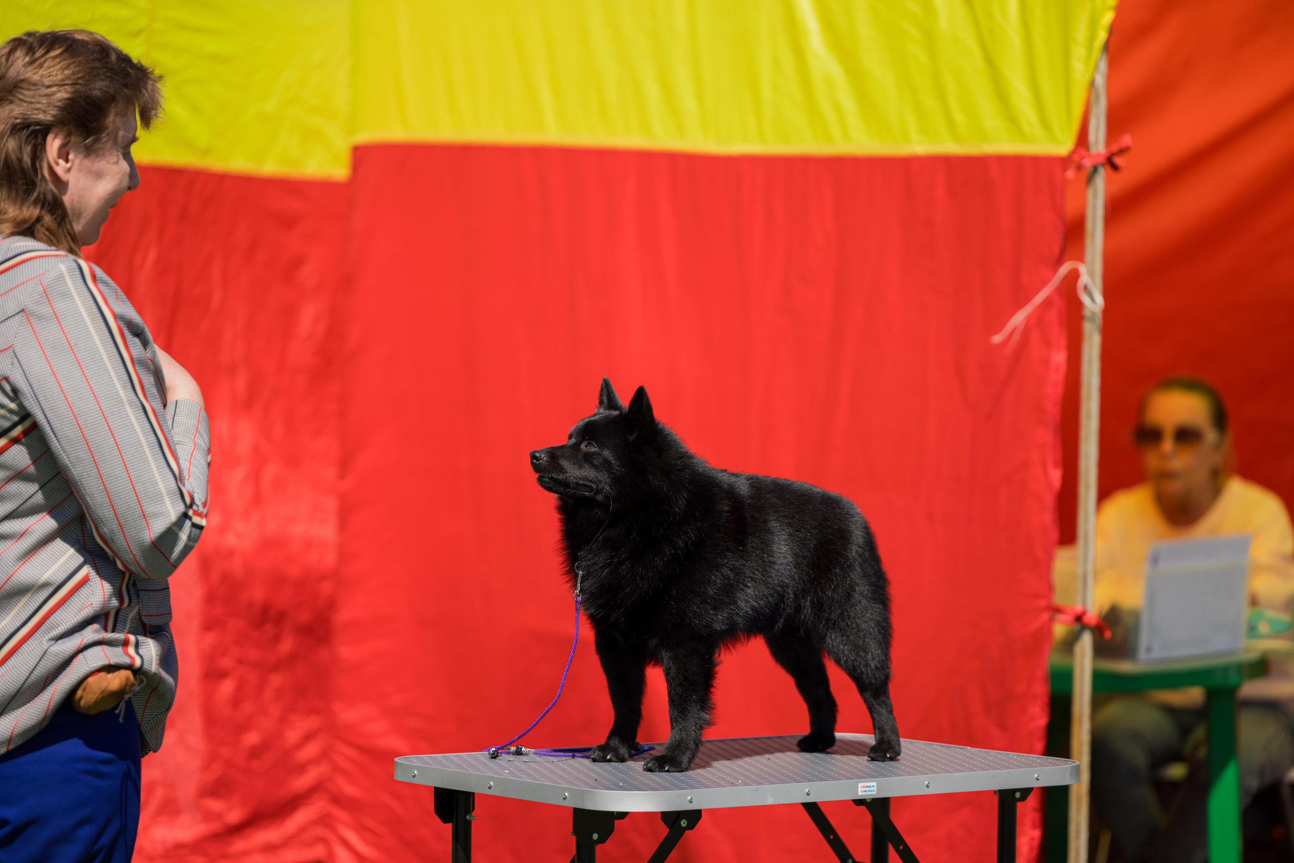 Суздаль 18-19.05.2024. Фотограф-анималист Юлия Германика