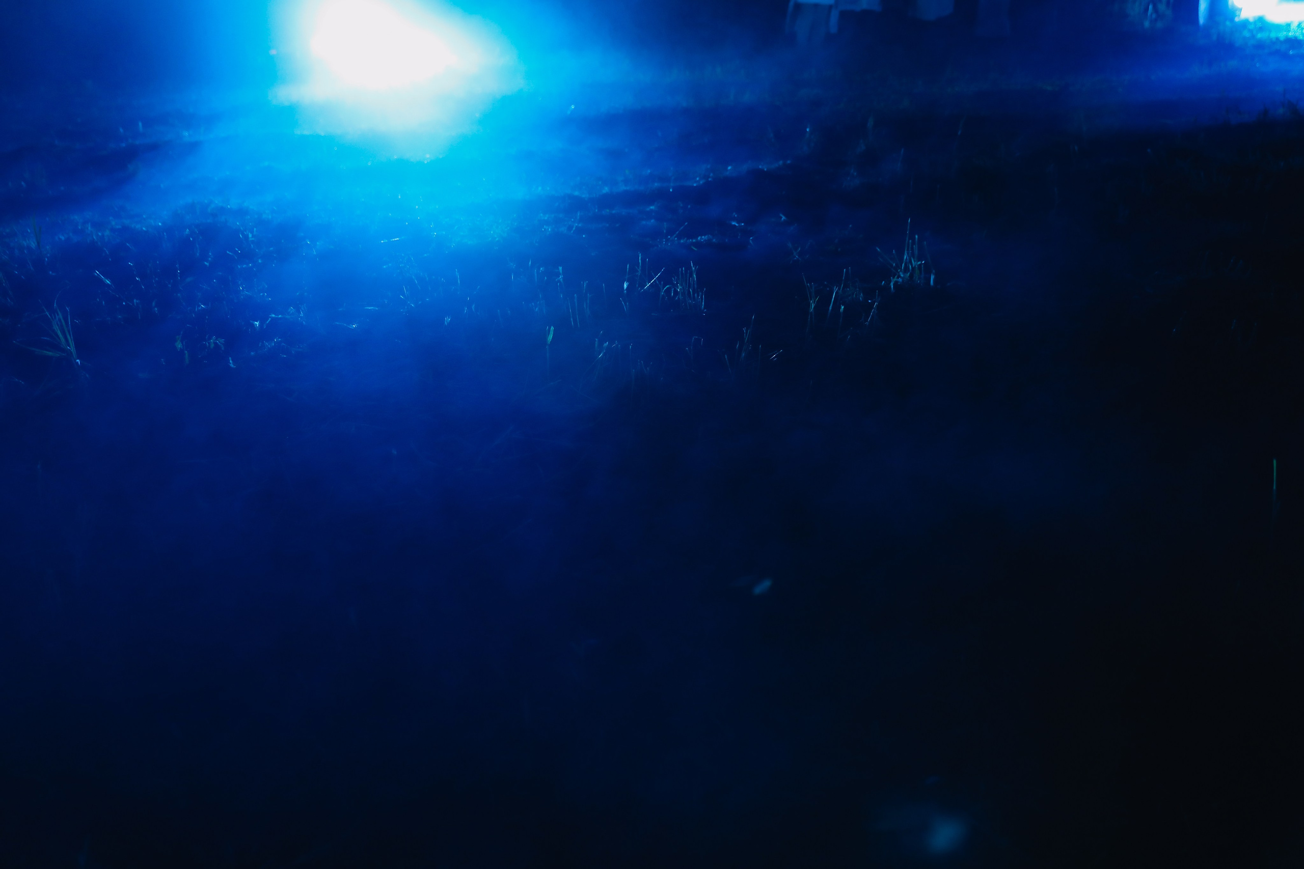 Иммерсивное шоу «Пушкин.Суйда» 2023. Свадебный и репортажный фотограф в Санкт-Петербурге