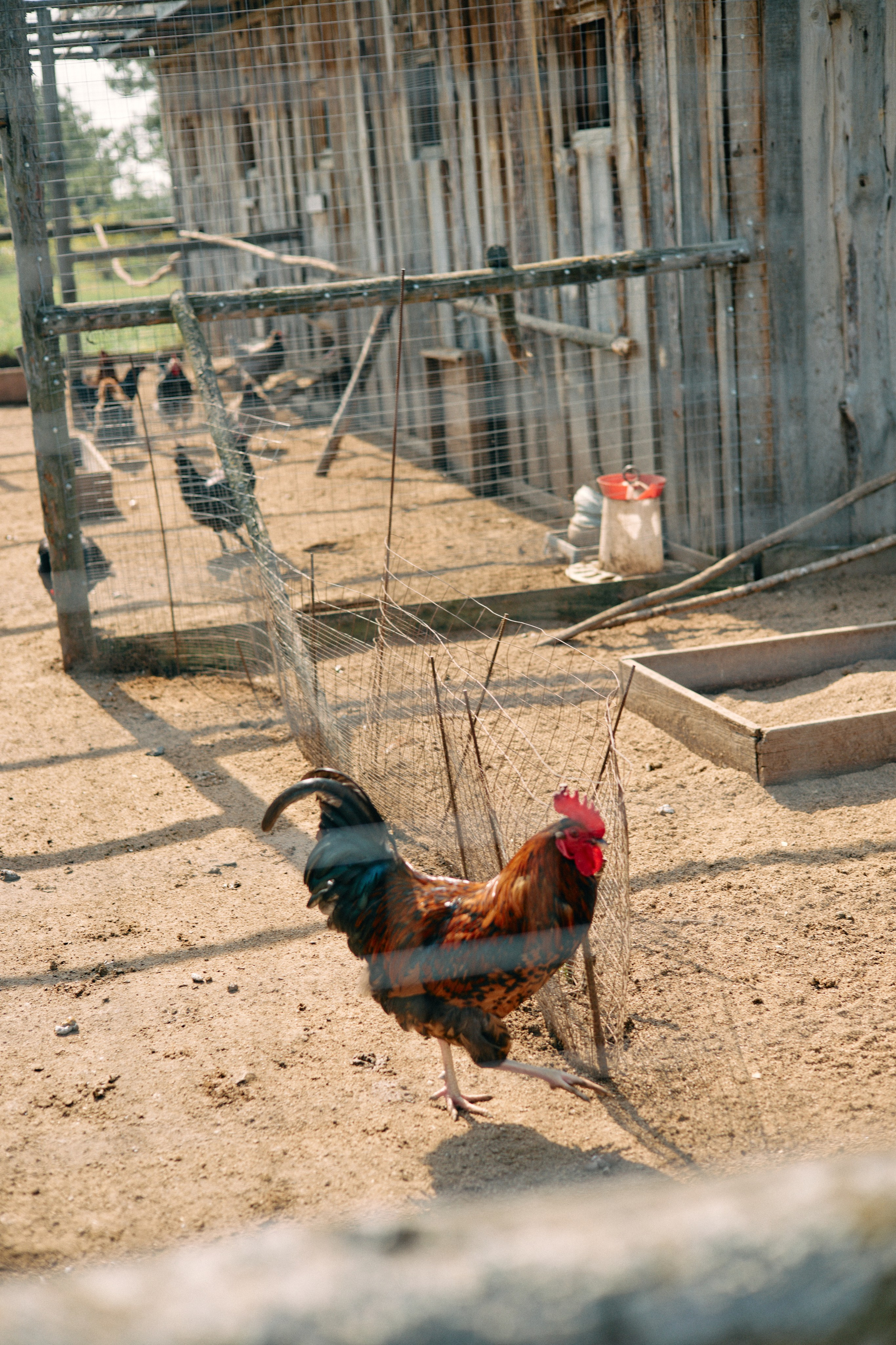 Бутик-отель Поле летом. Профессиональный Фотограф во Владимире, в Москве и в Суздале — Полина Романычева