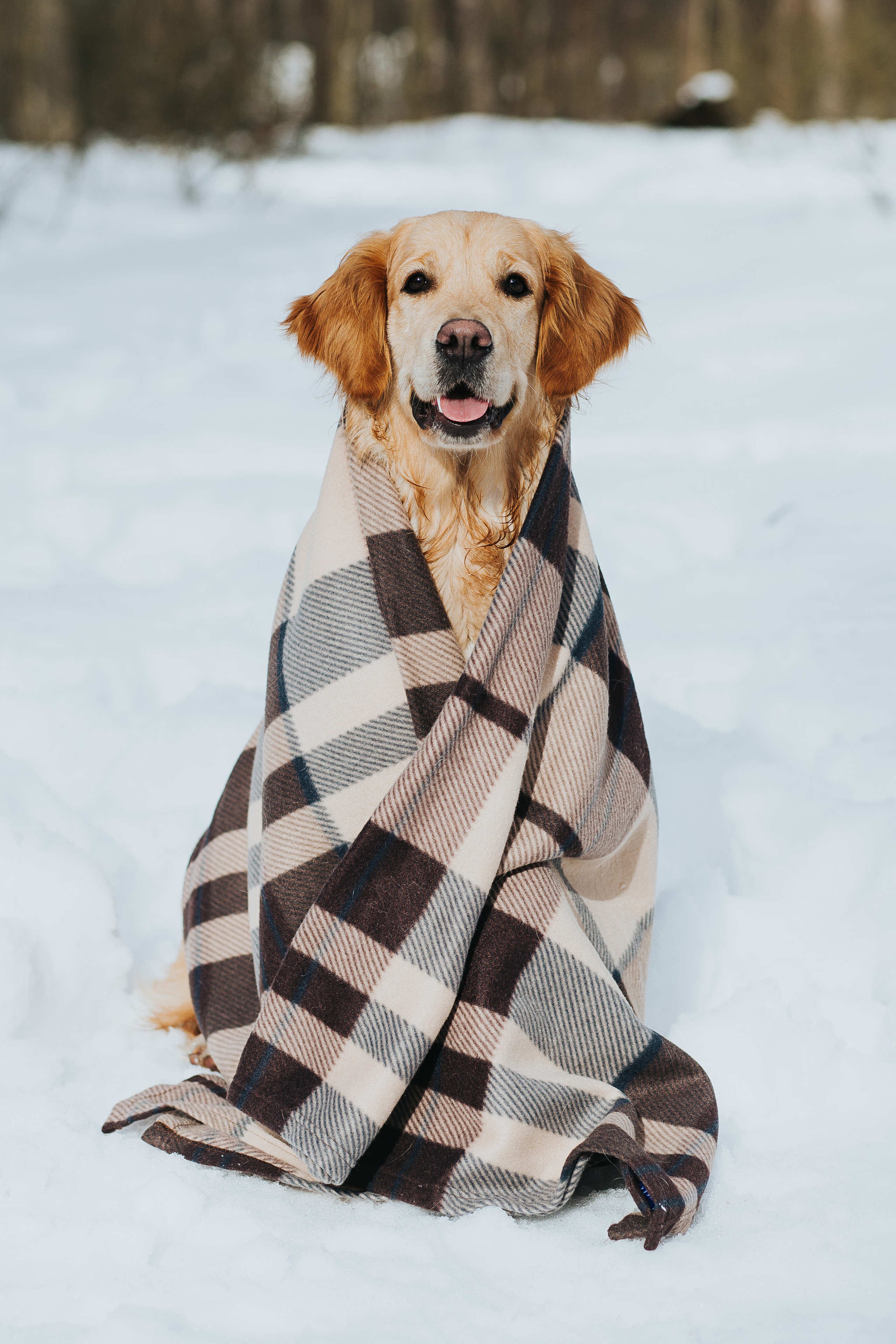 Костя + Саша. Свадебный и портретный фотограф в Воронеже Вика Лихачева