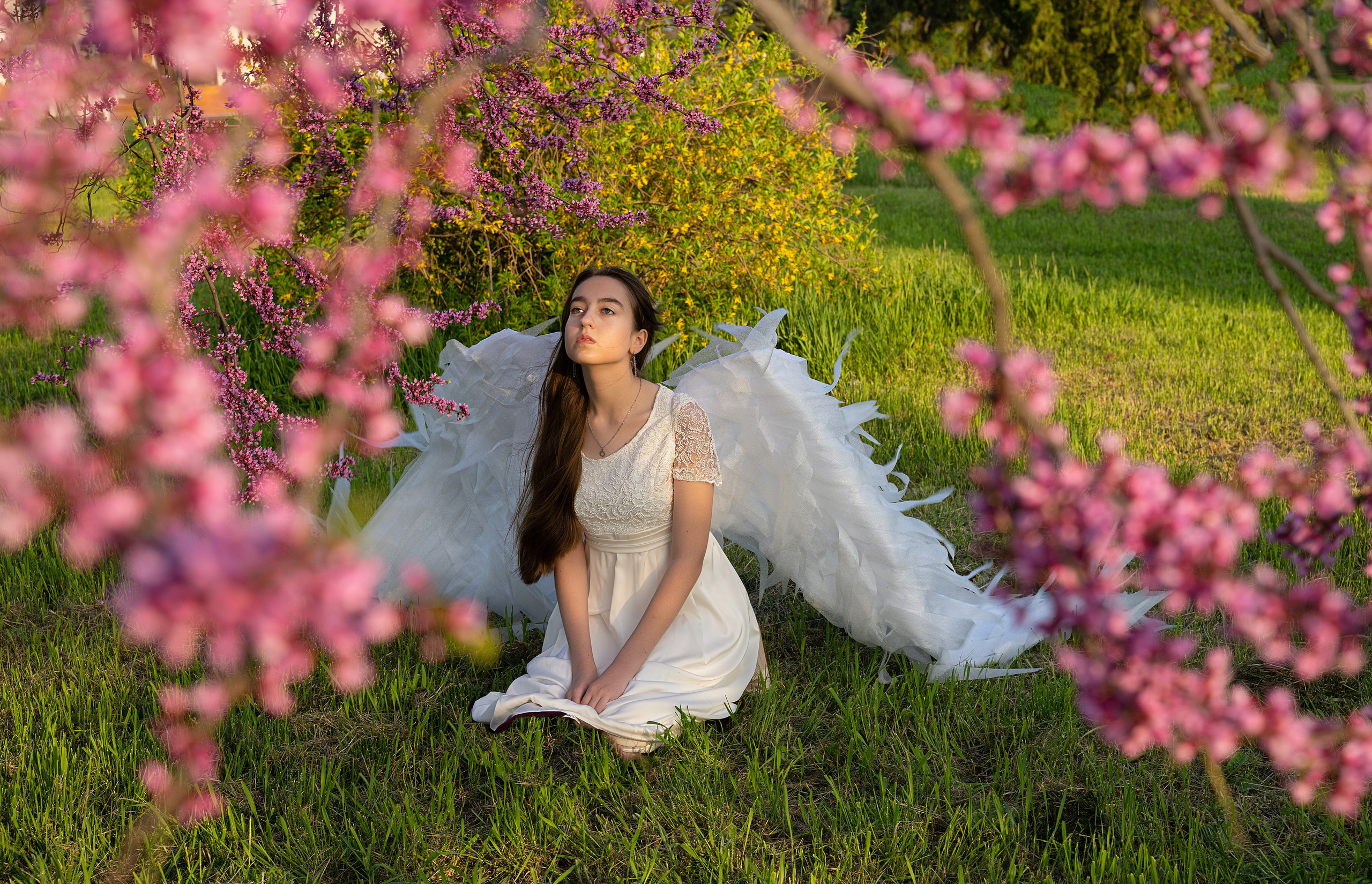 Крылатые истории. Главная