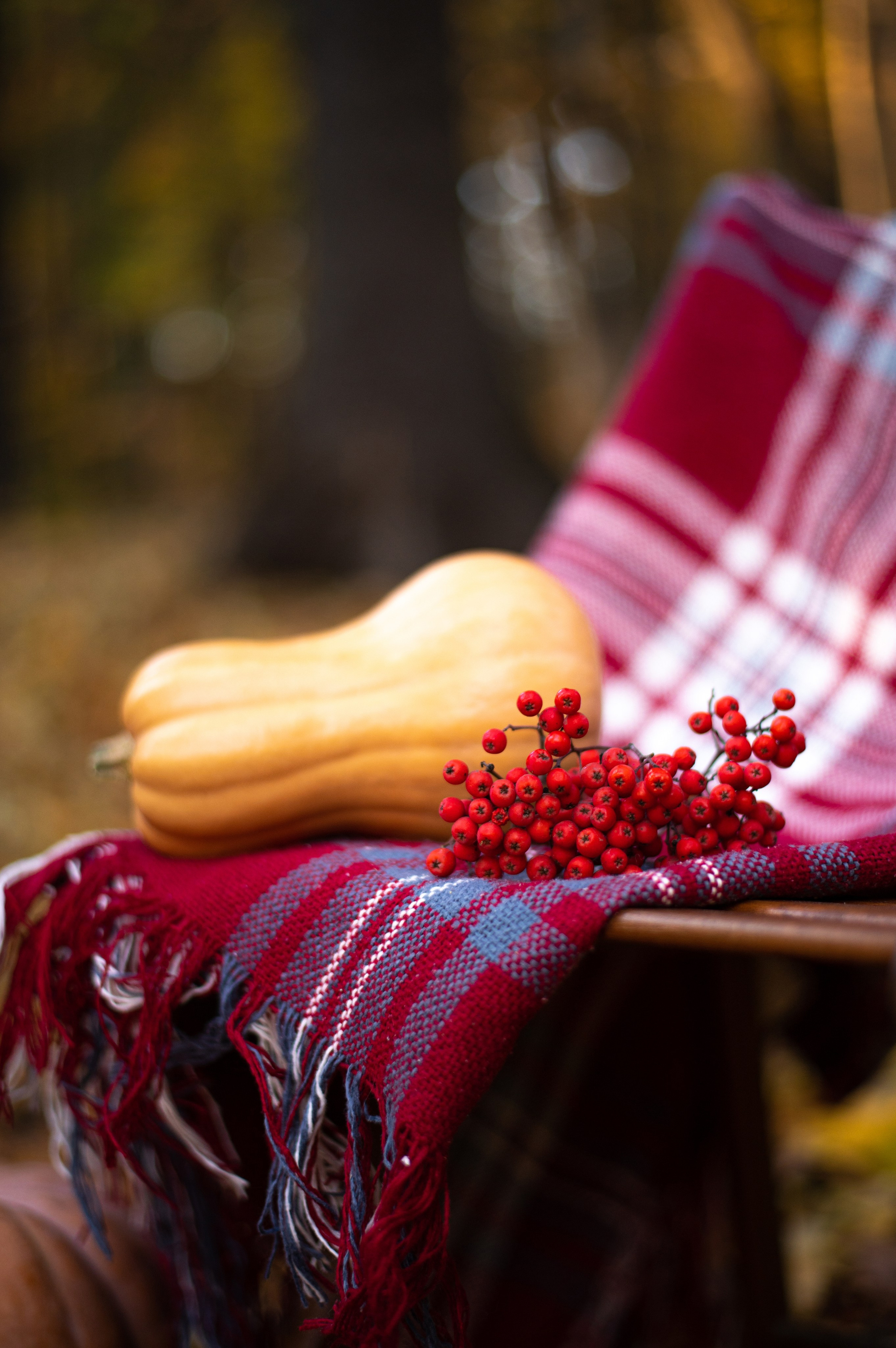 Осень в Шуваловском парке. Фотограф Санкт-Петербург | Дарья Першина