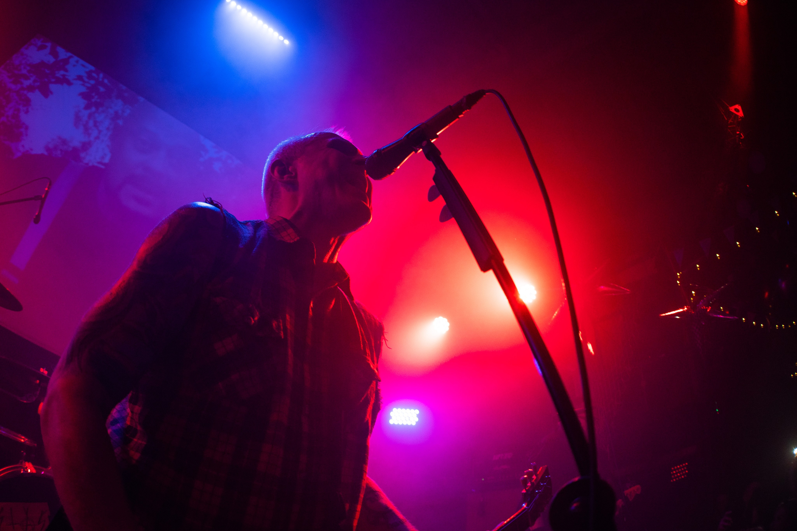 ПОРТ (812) 25 лет|Ласточка. Концертный и репортажный фотограф в Санкт-Петербурге Слава Пахомов