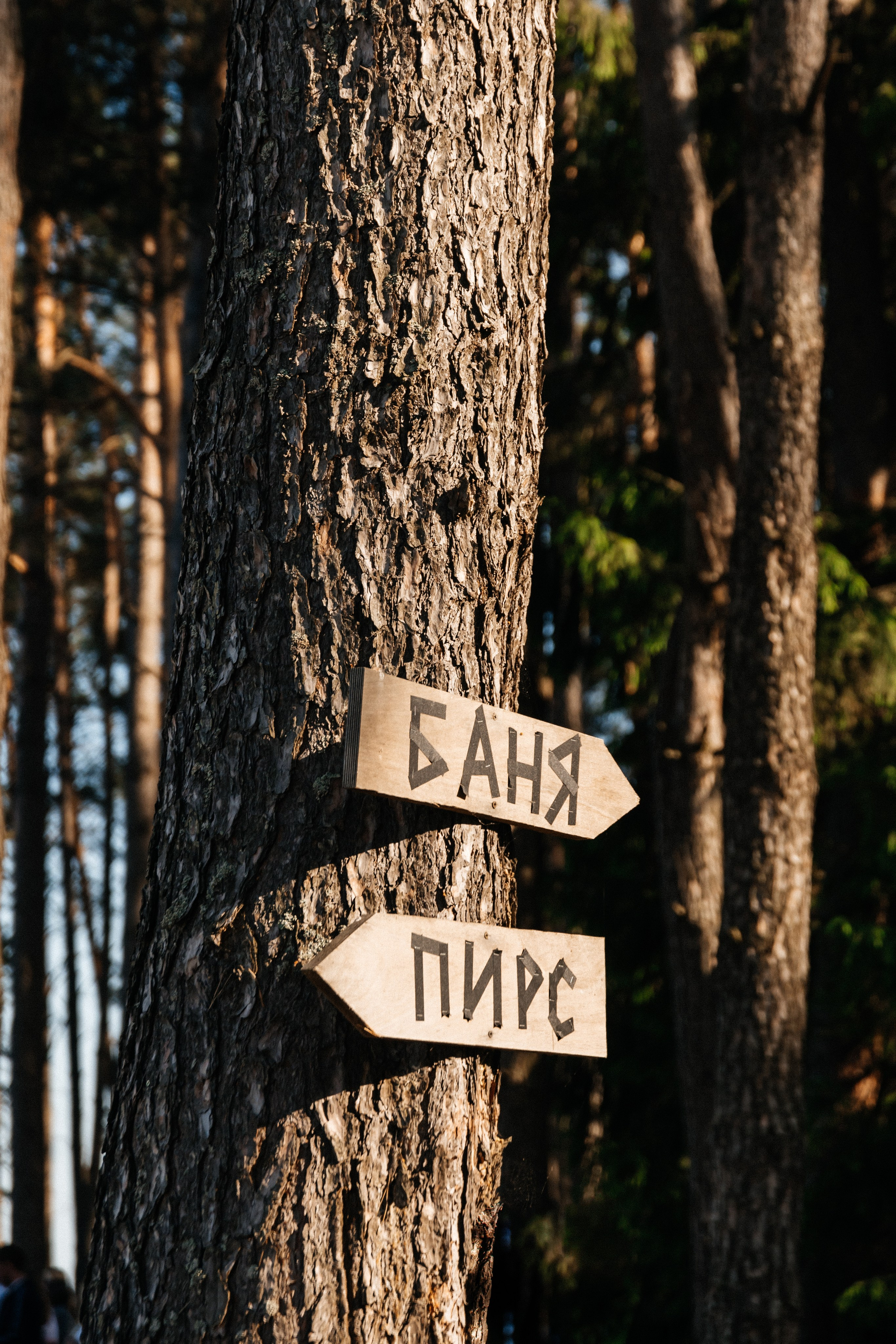 МЕРОПРИЯТИЯ. СВАДЕБНЫЙ И РЕПОРТАЖНЫЙ ФОТОГРАФ | МИНСК, БЕЛАРУСЬ| ЮЛИАНА ВАСИЛЬКОВА
