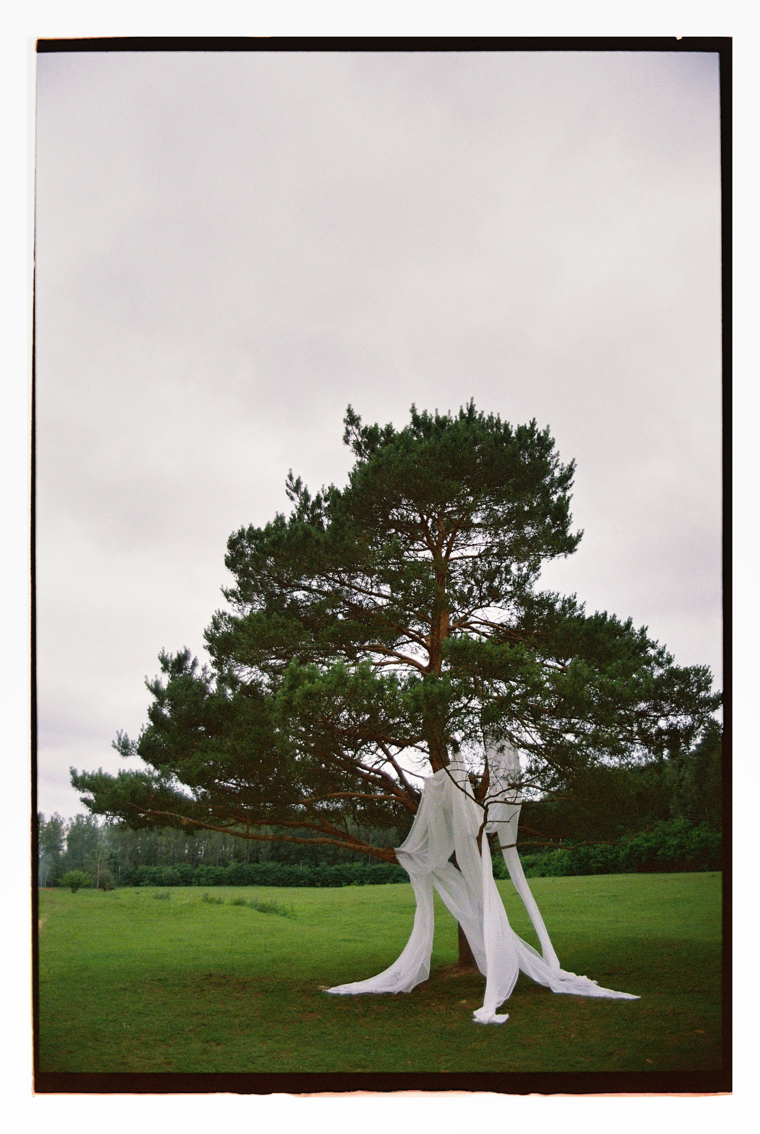 Илья и Анастасия FILM PLenka. Фотограф Елена Маринина Москва