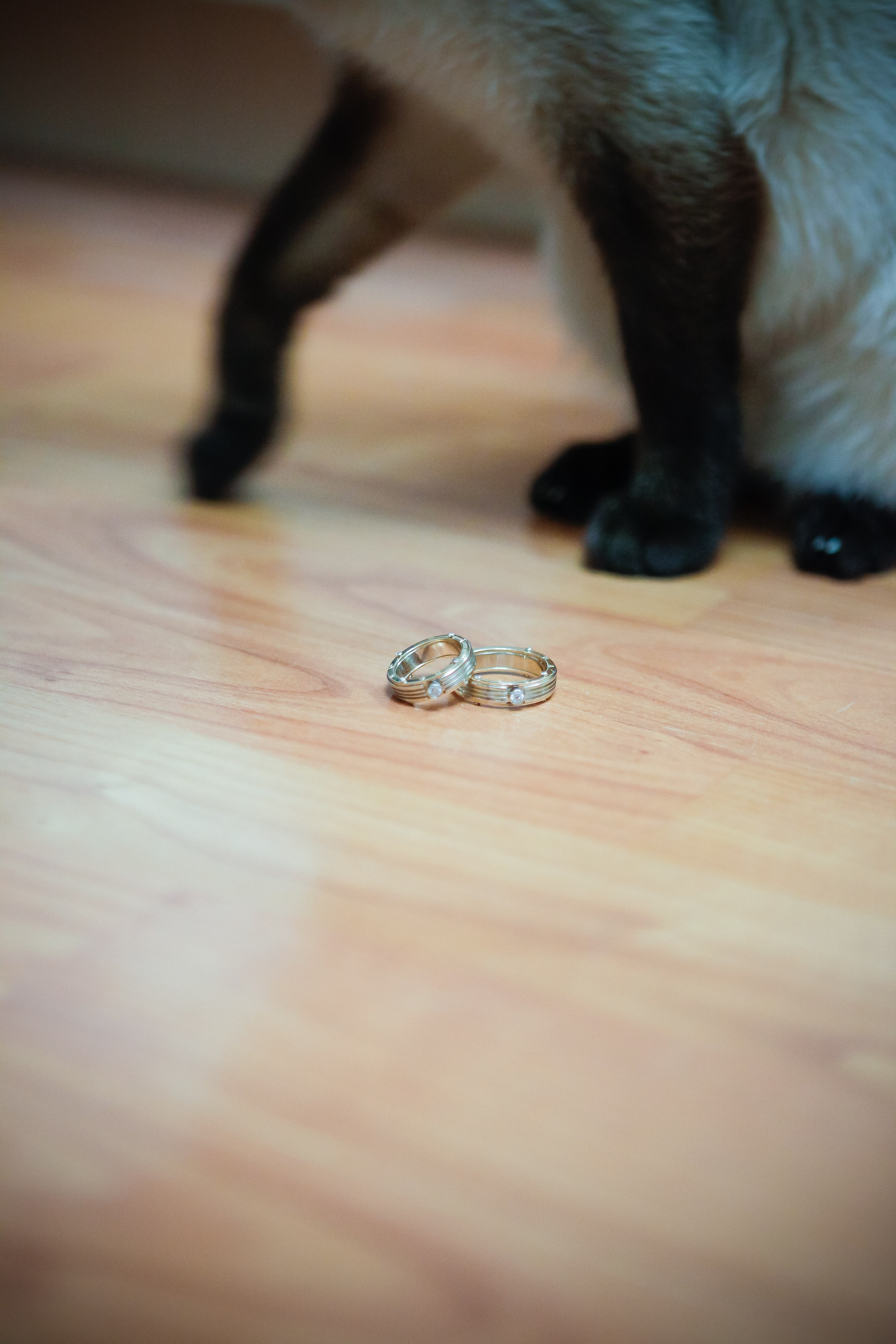 Утро/Morning. Максим Матвийченко и Виктория Басова профессионалы своего дела