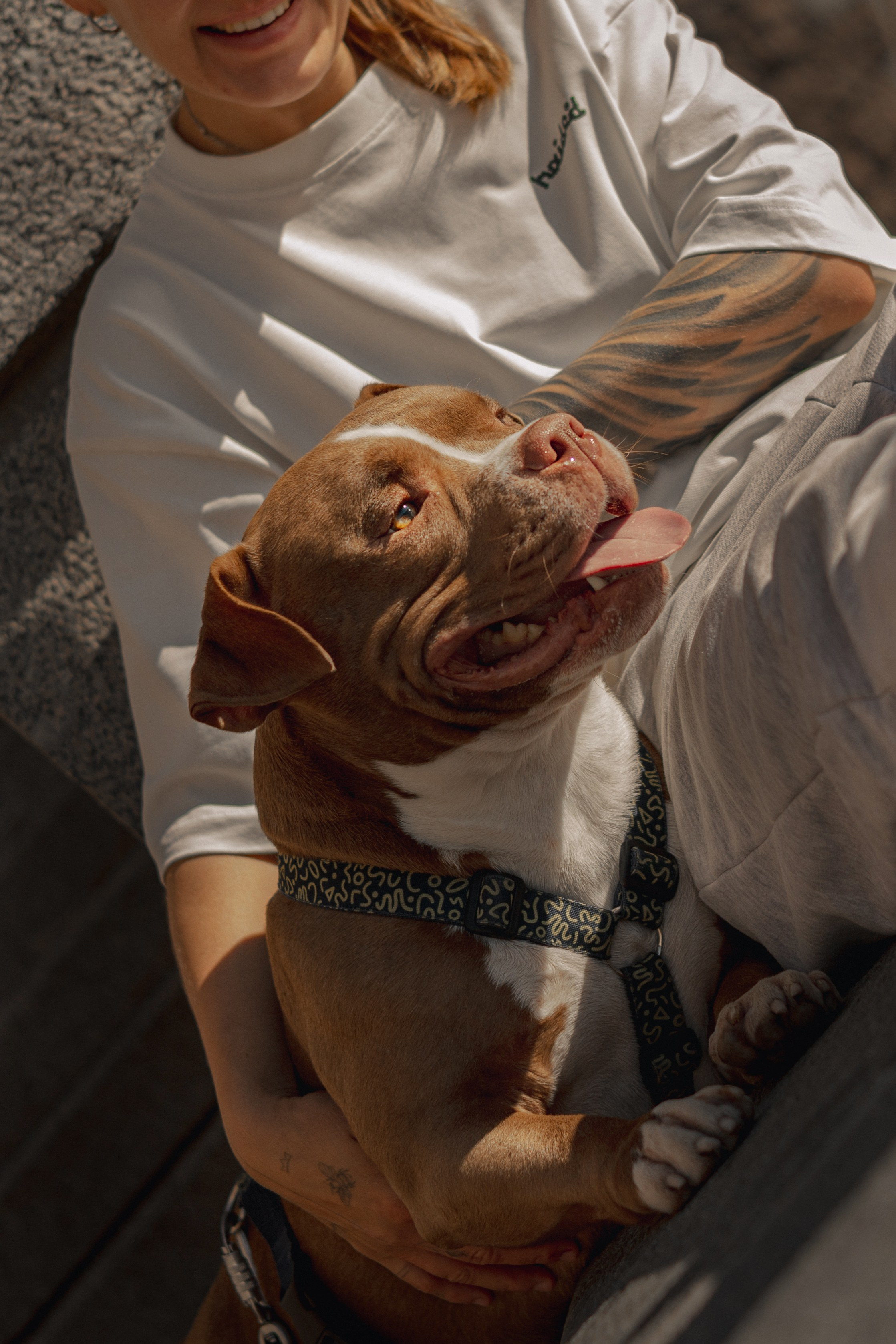 Анжела & Арес. Фотограф — анималист •love-story•|Санкт-Петербург