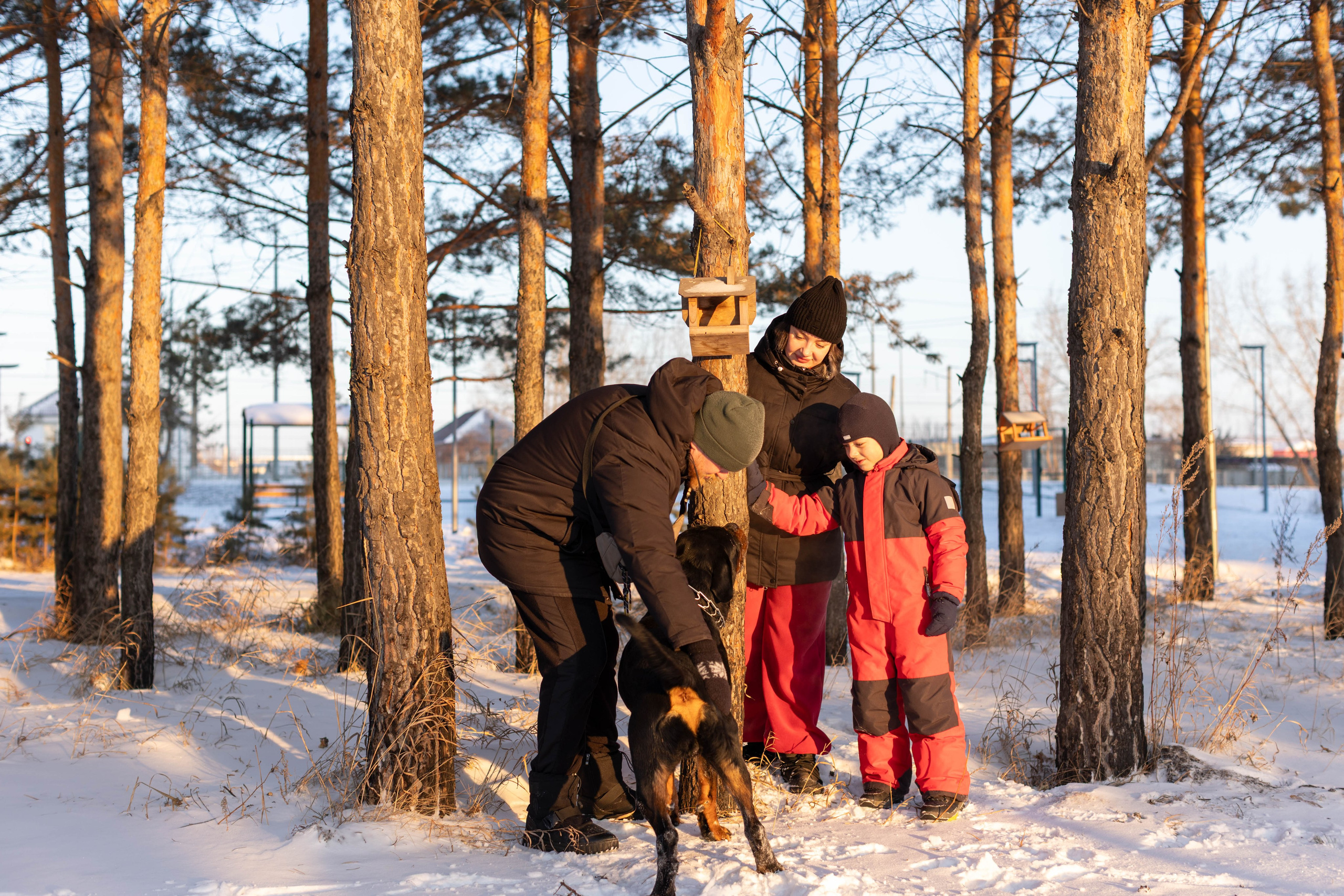 Зимняя прогулка. Art my Pho