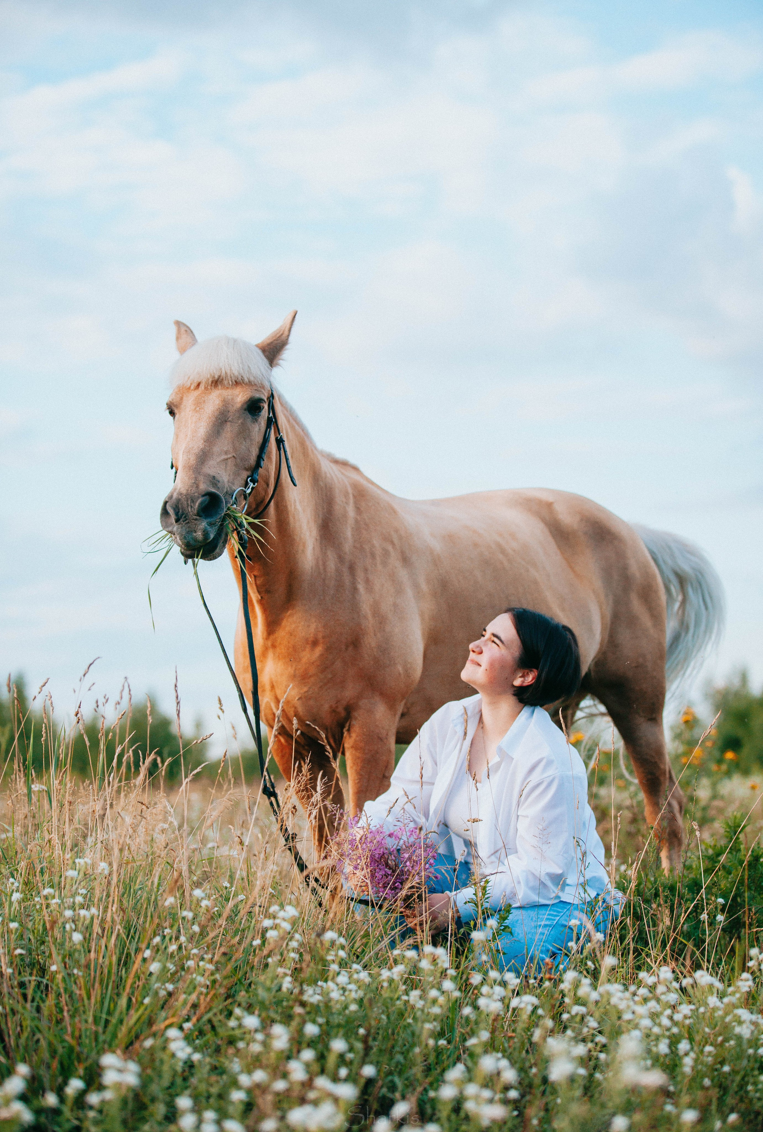 Алина и Гешефт. Главная